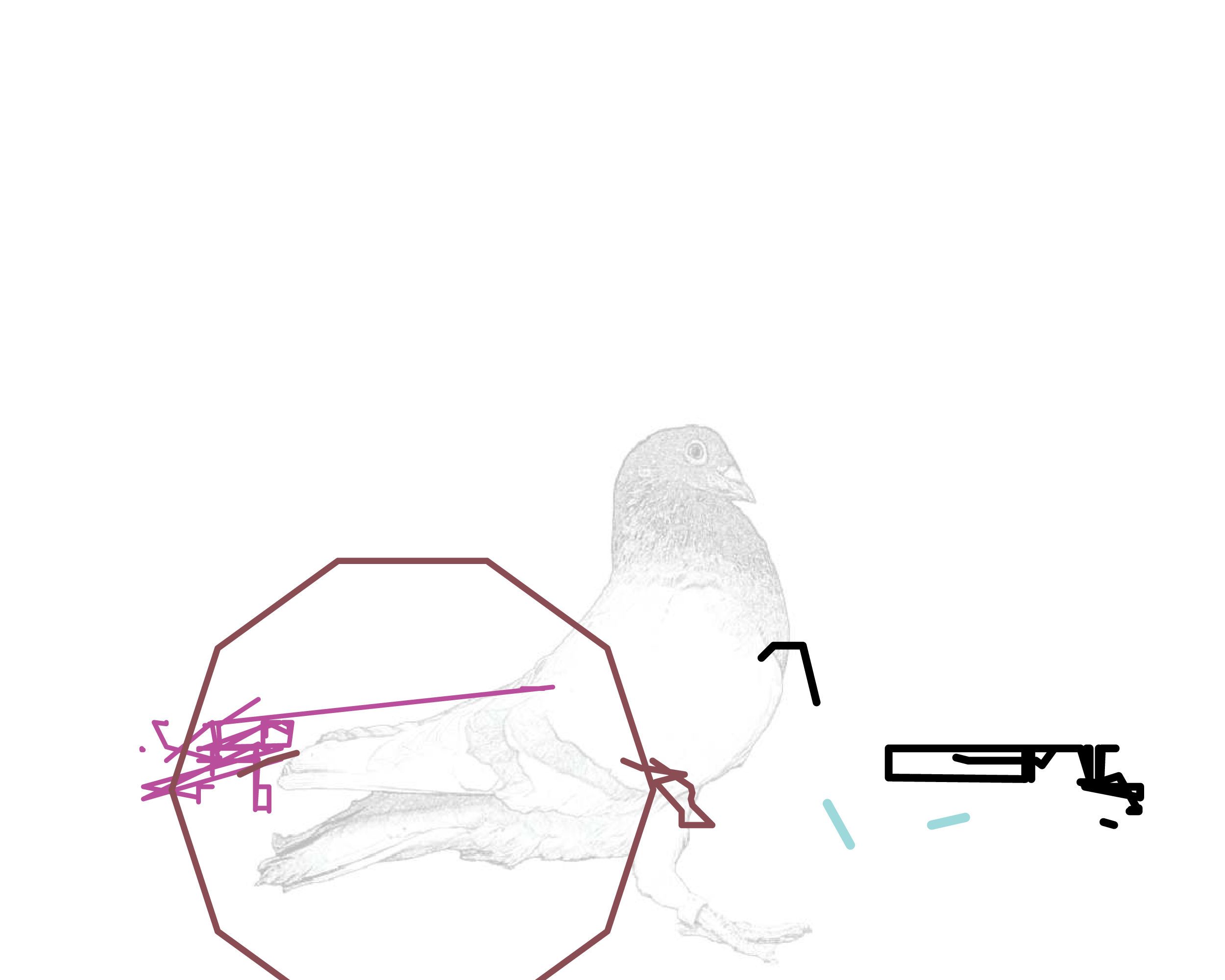 P01.009