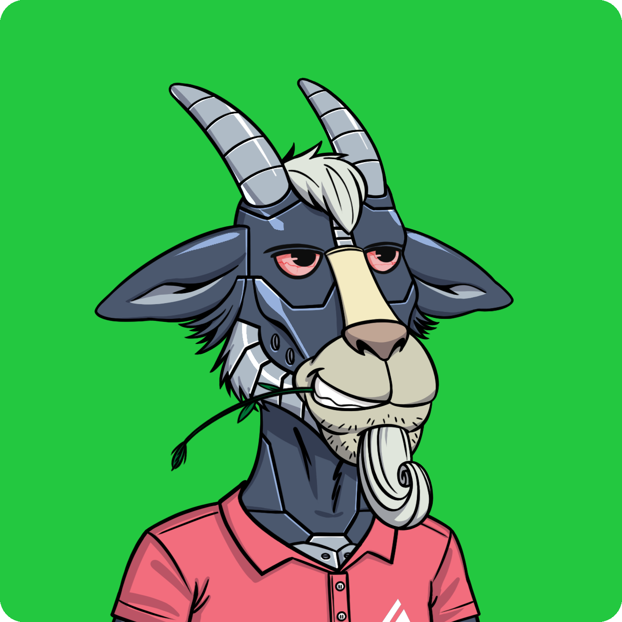 Goat #7295
