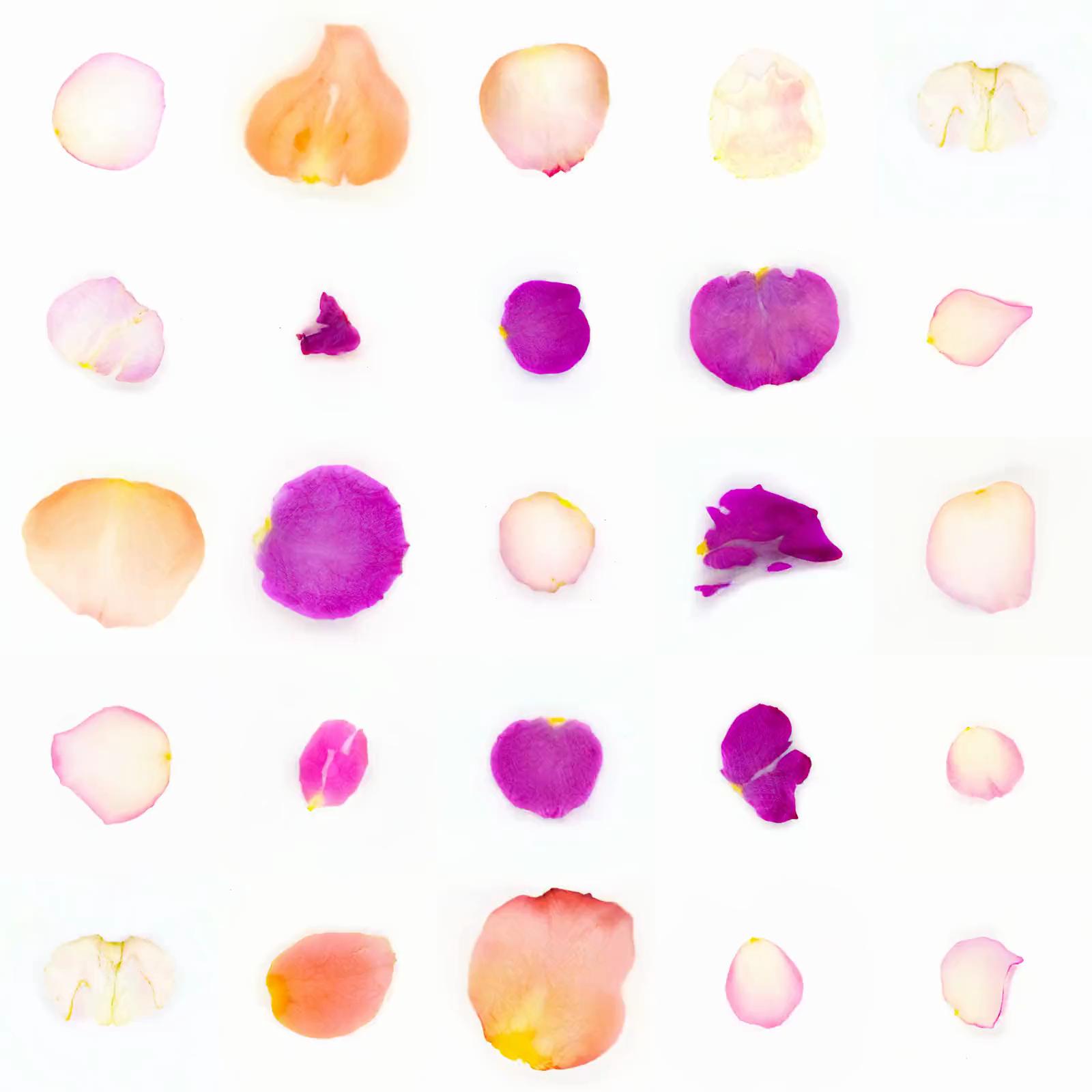 Infinite Petals 5x5#439