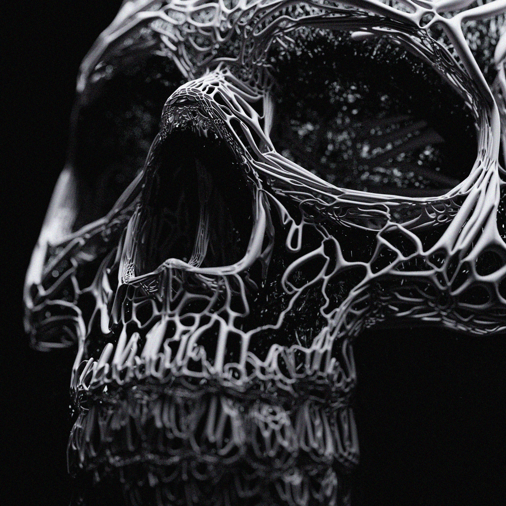 Mortality #61/77