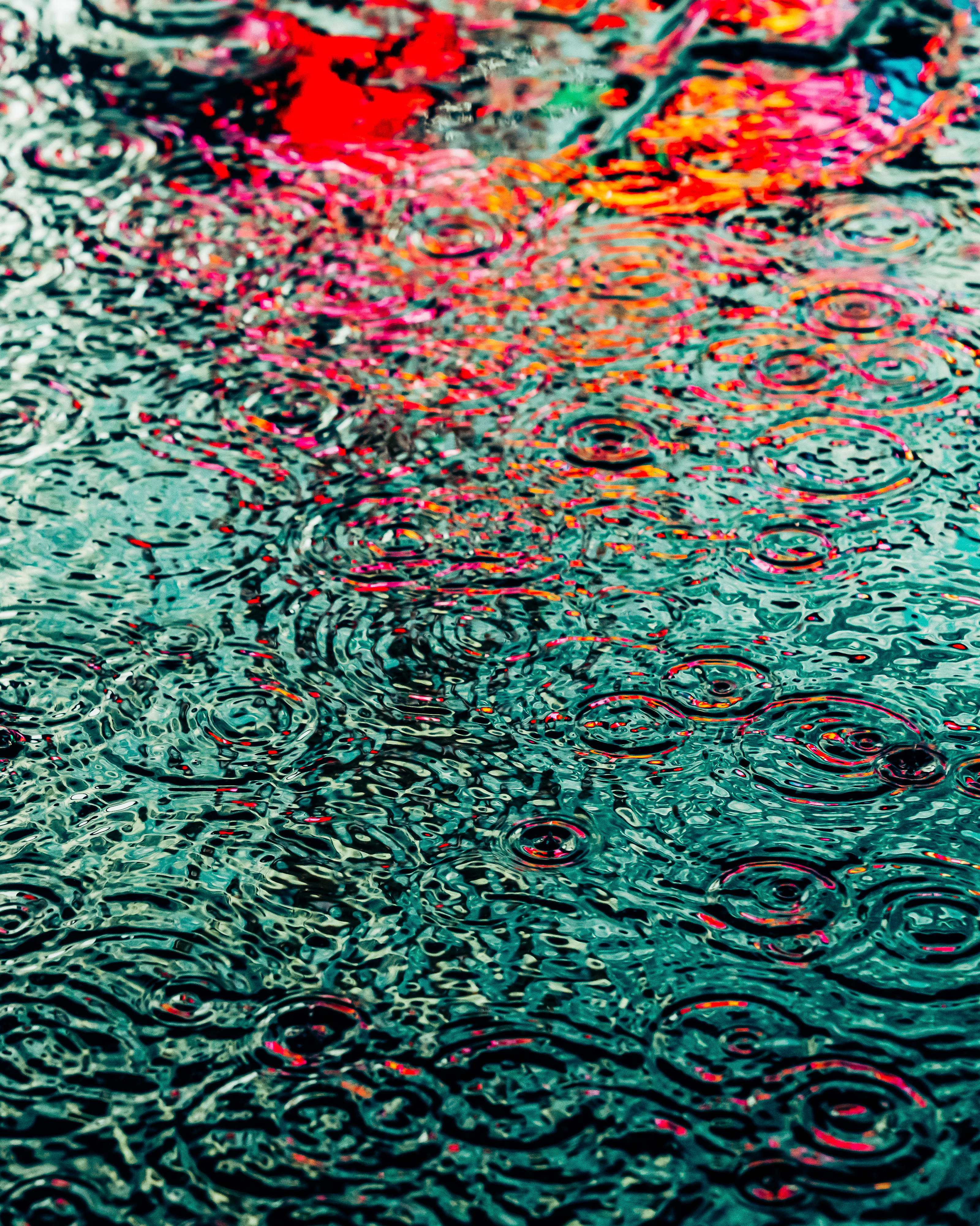DRIP #951