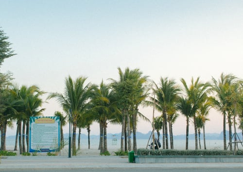 Beach