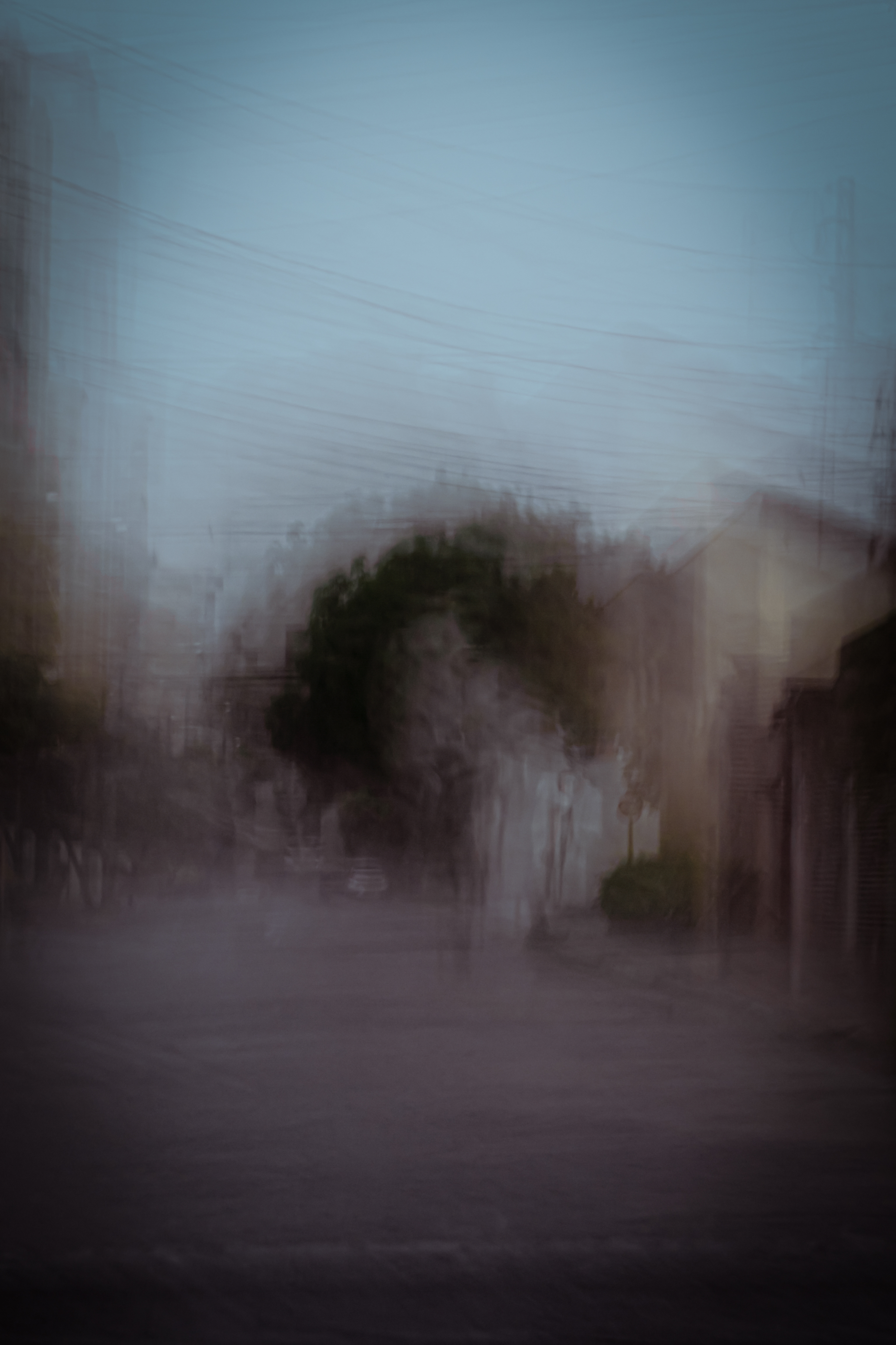 Focus VIII