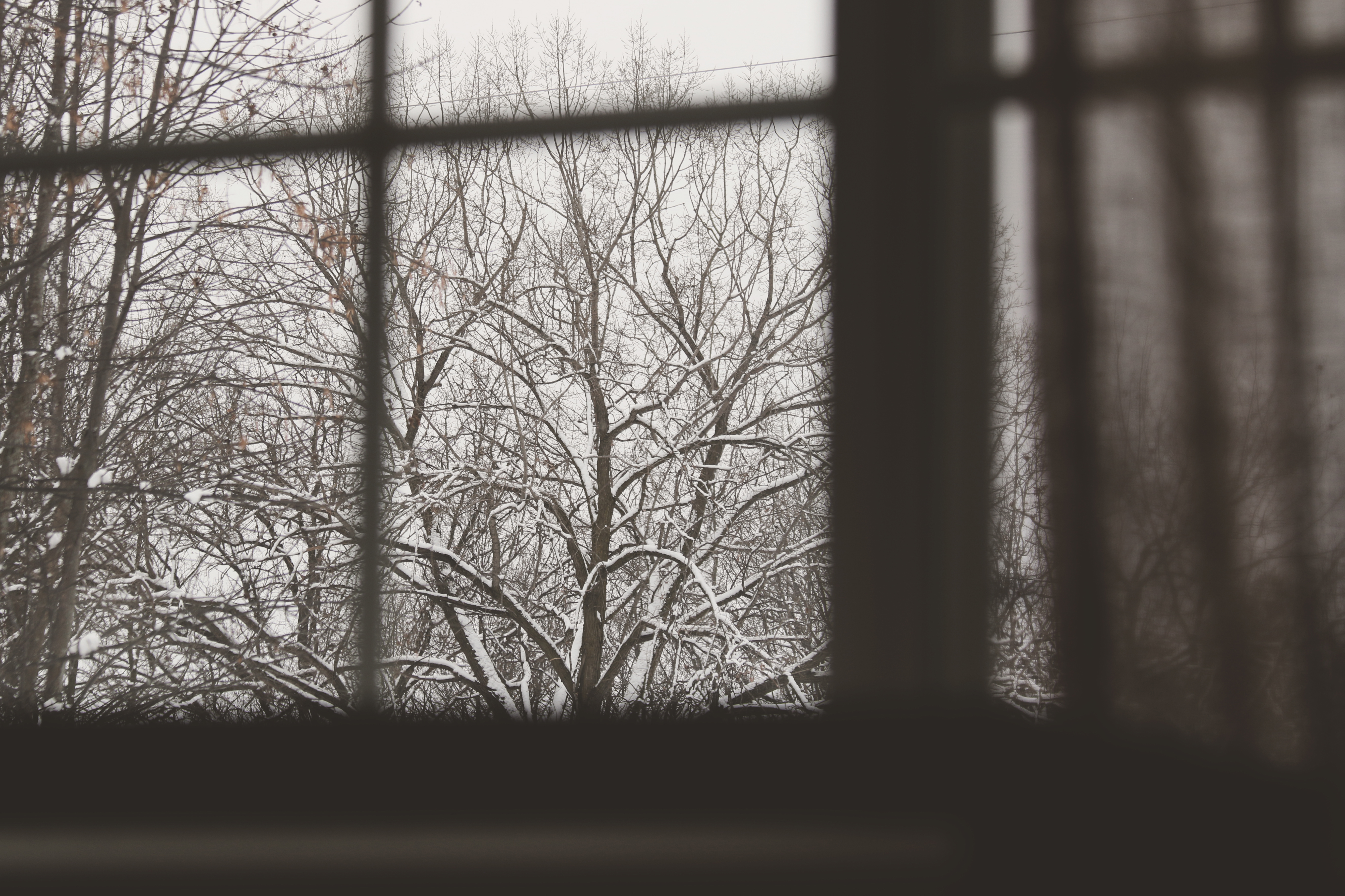 _whisper