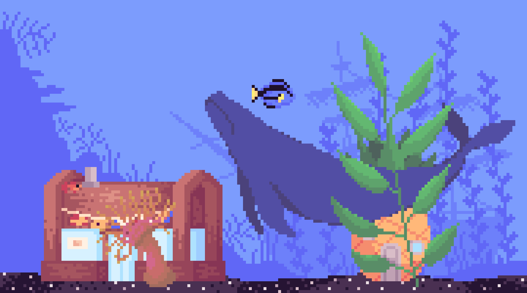 The Fish Tank 0350