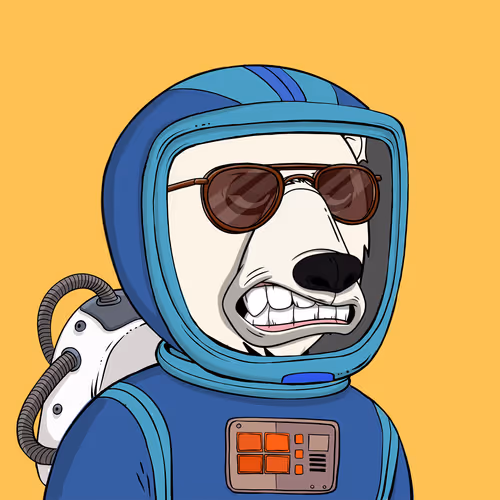 Okay Space Bear #5229