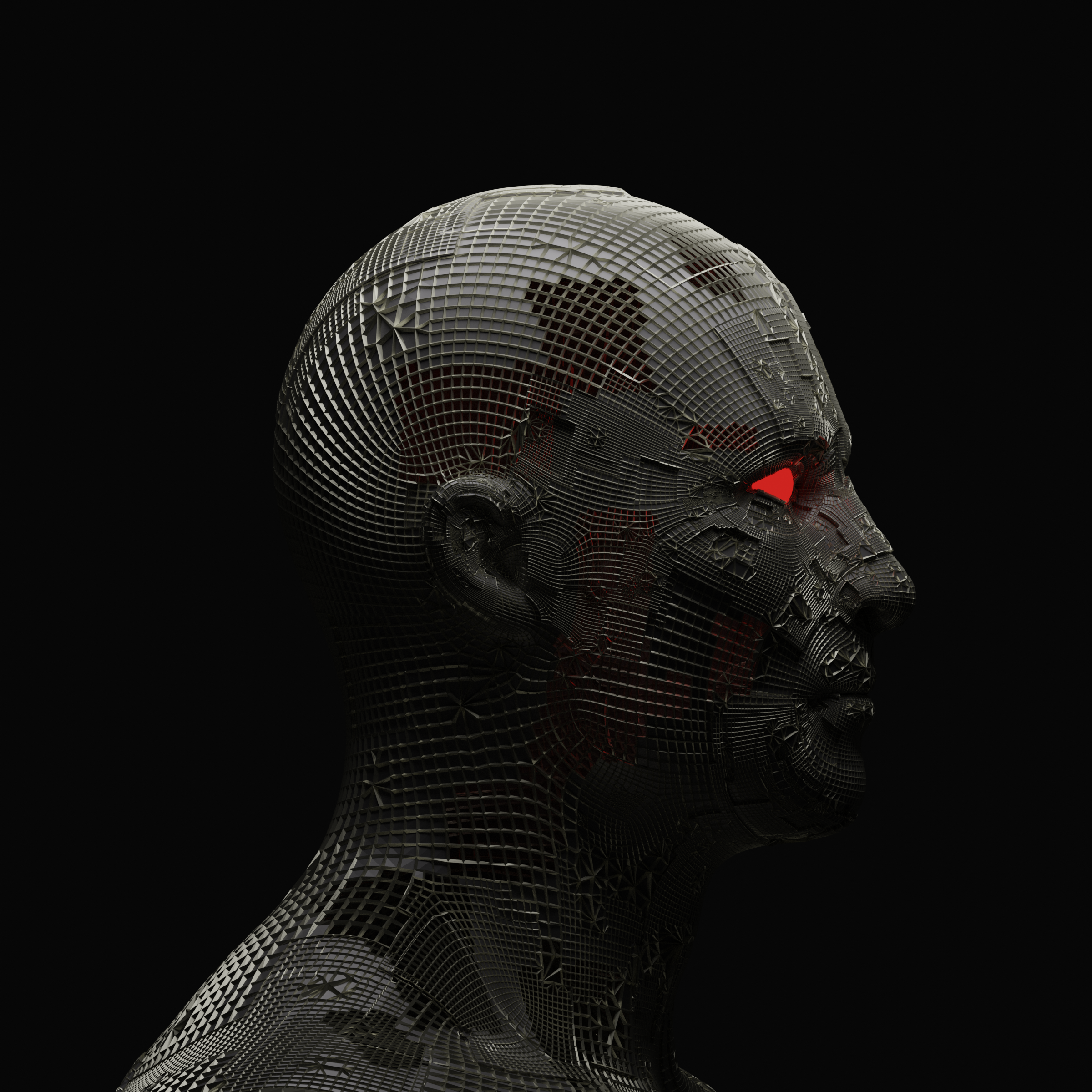 D E S T R O Y E R