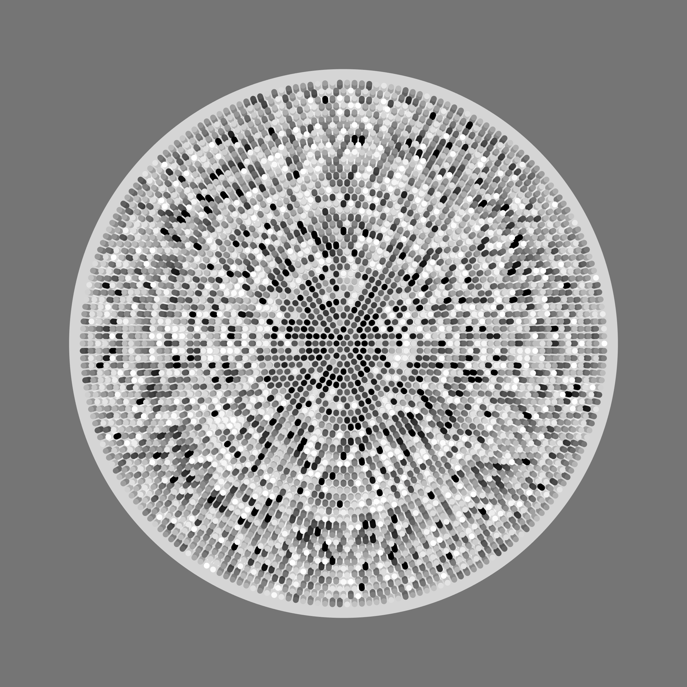 Transitions #3761