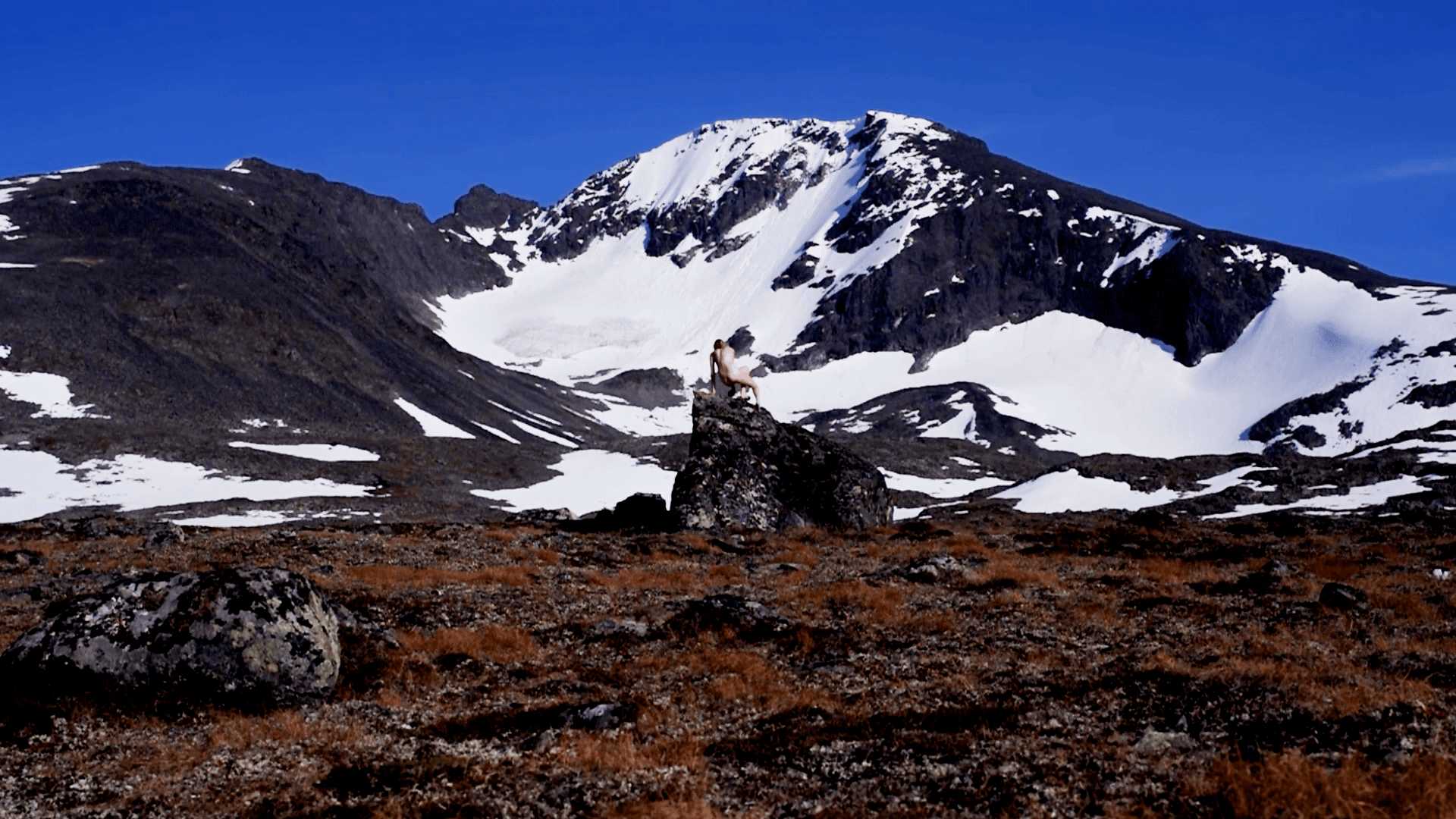 Steps within Jotunheimen