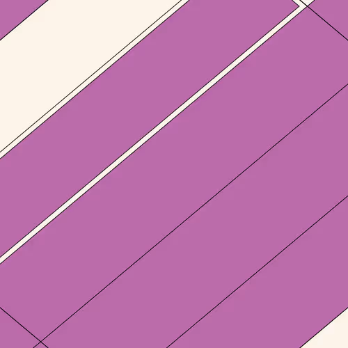 Decagon #22542