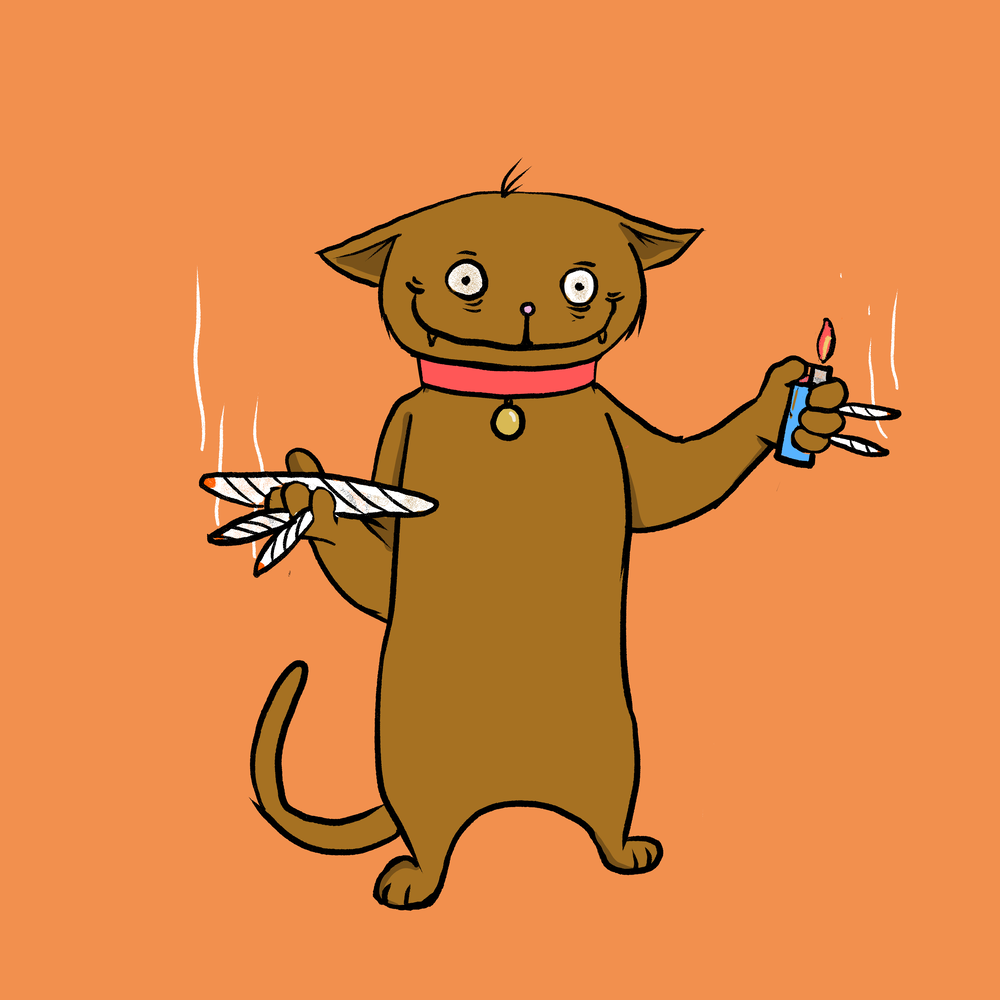 Blazed Cat #5997