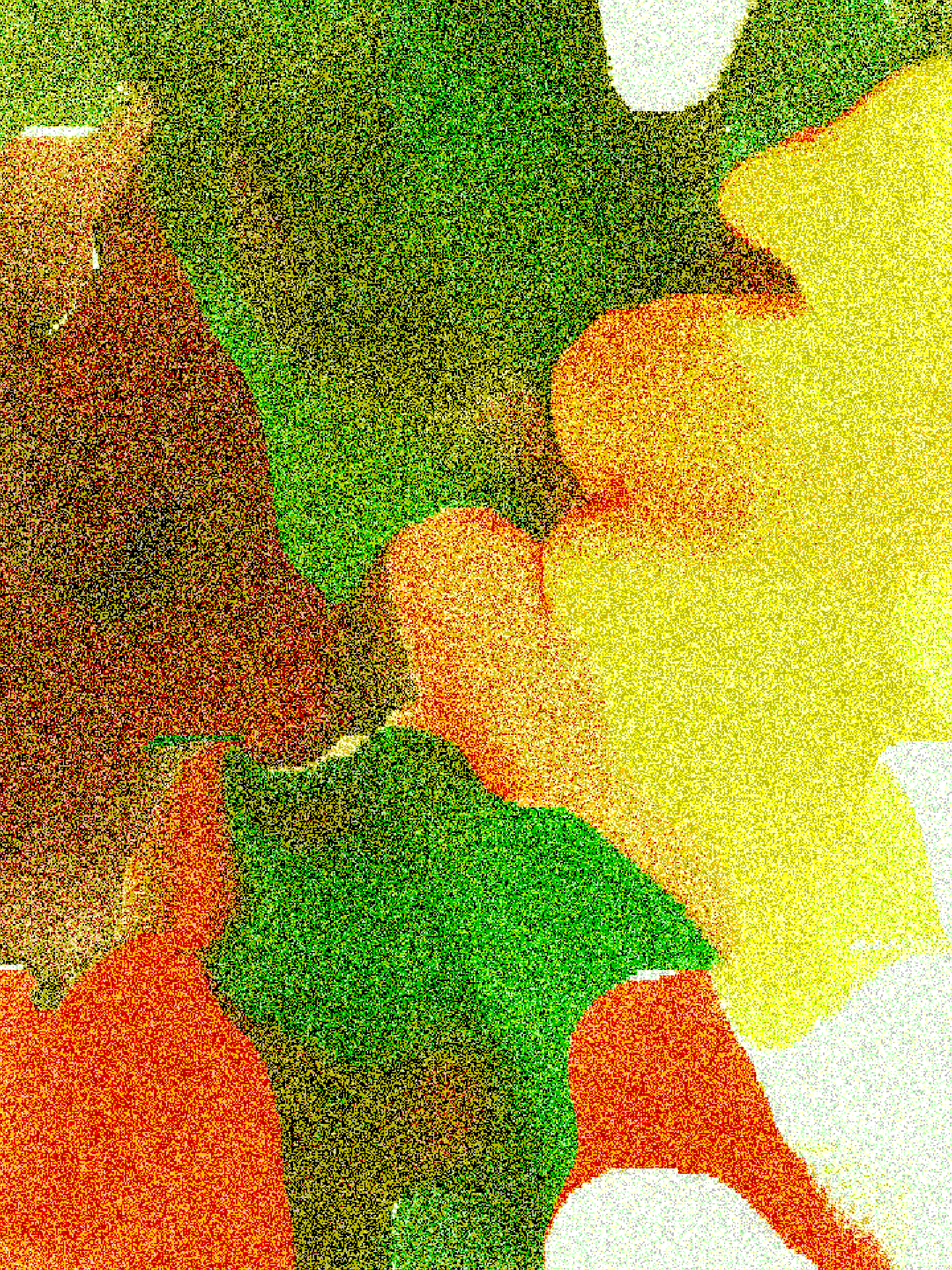 RASTER #215