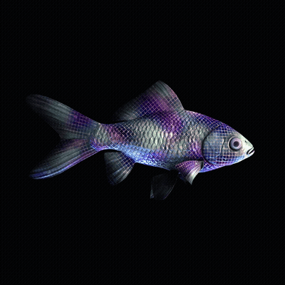 CryptoFish #3031