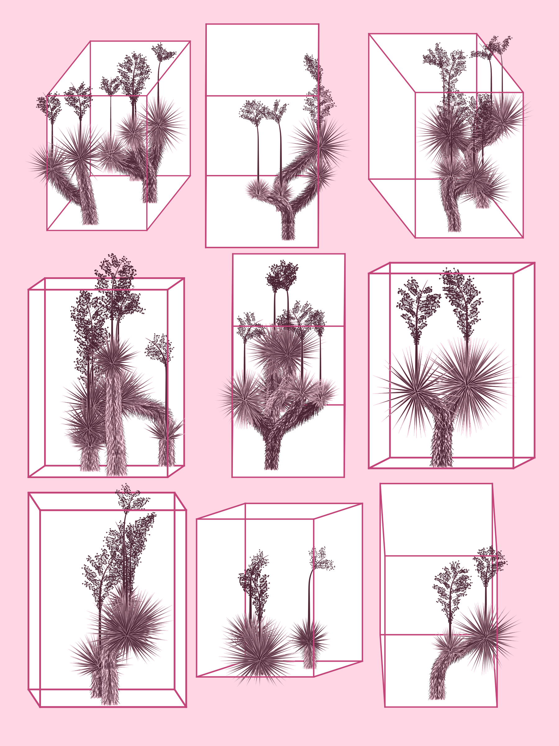 Marfa Yucca #285