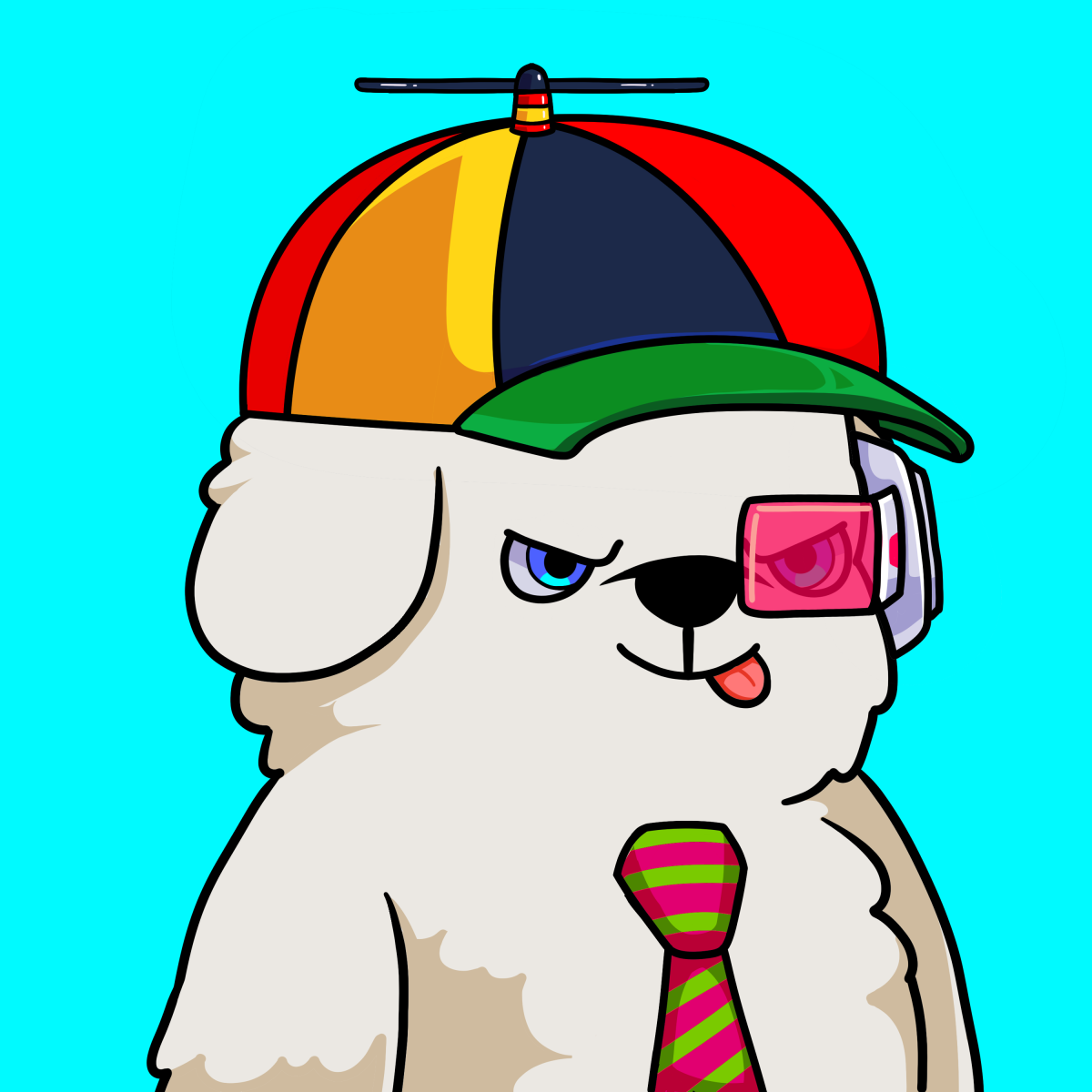Puppy #1547