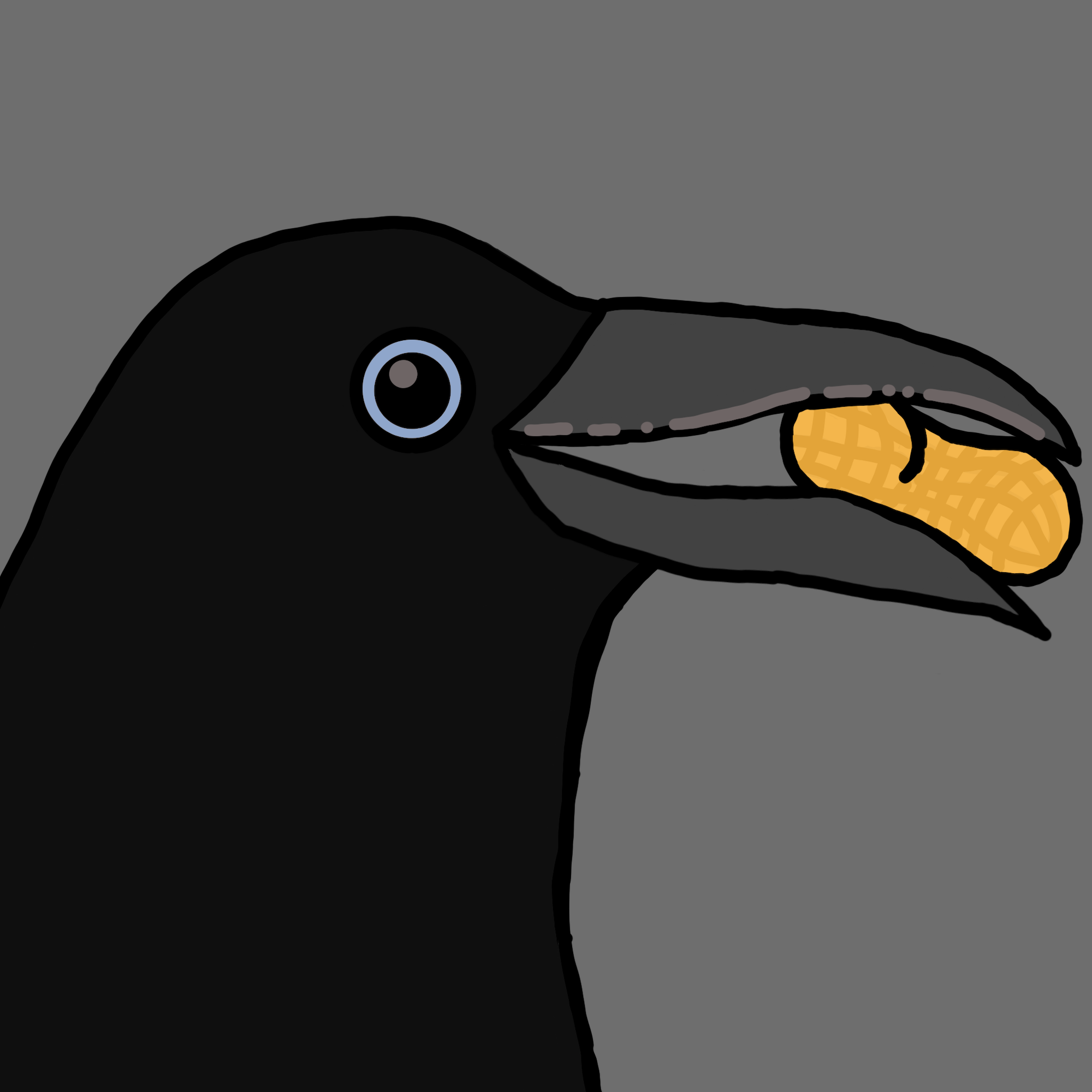 Crow Friends #149
