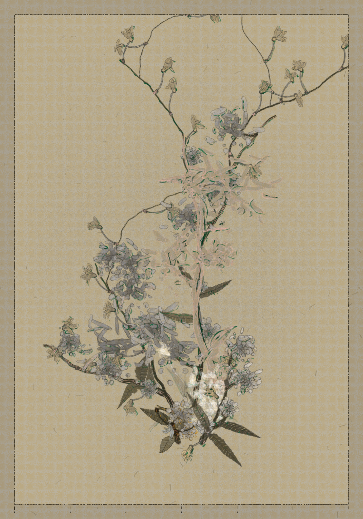 Polypaths | 植徑集 #377