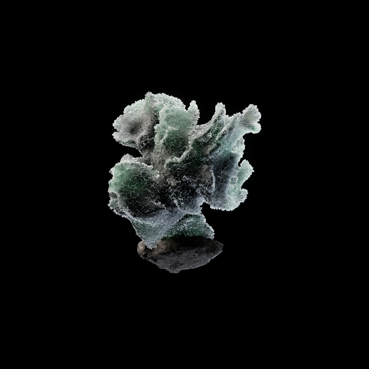 OG Crystals #6634