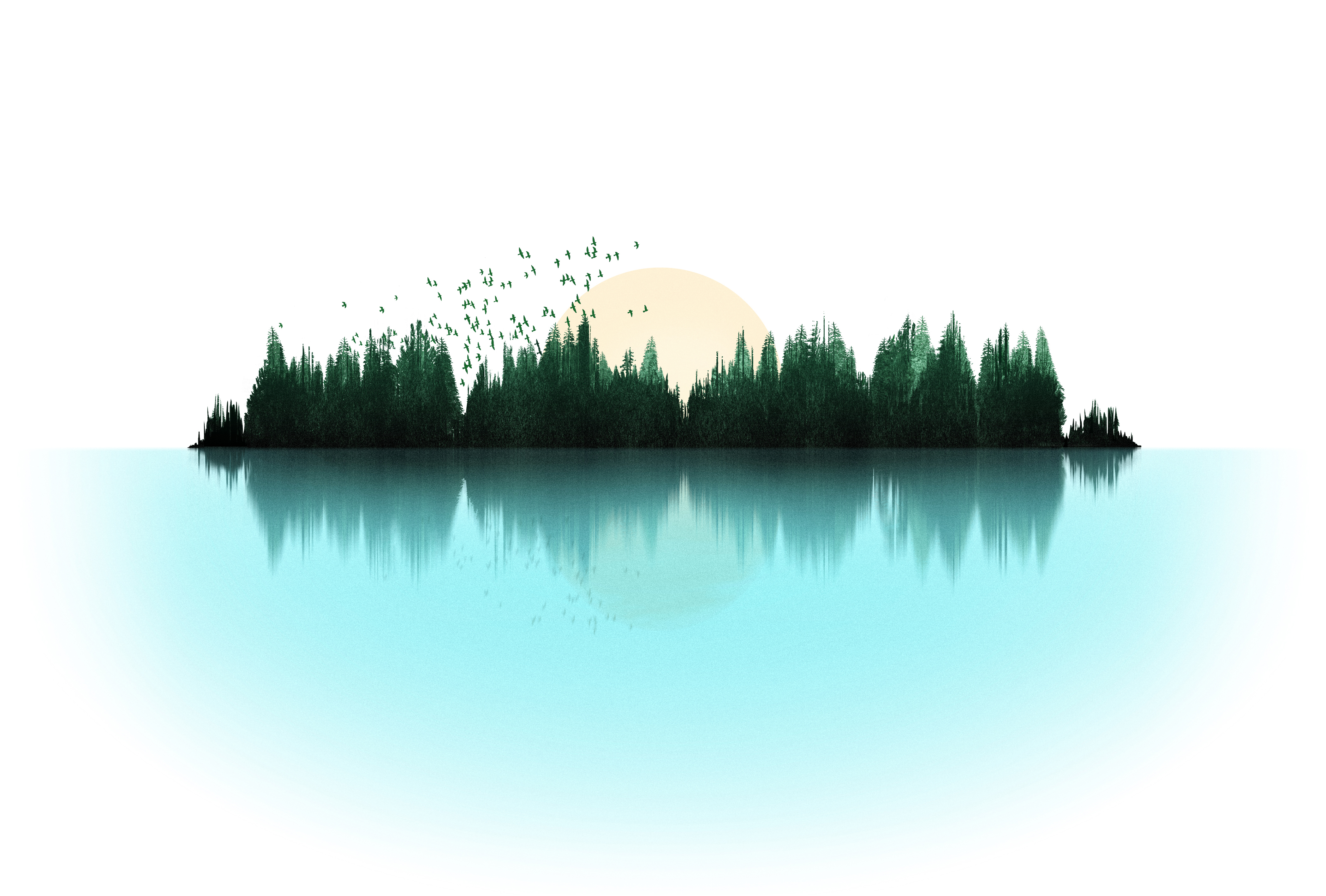 Sounds of Nature