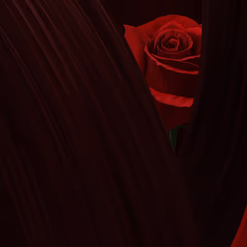 Echo From Within