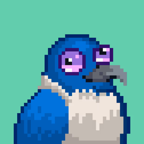 Noonbirds #1549