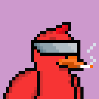 Fighting Duck #2424