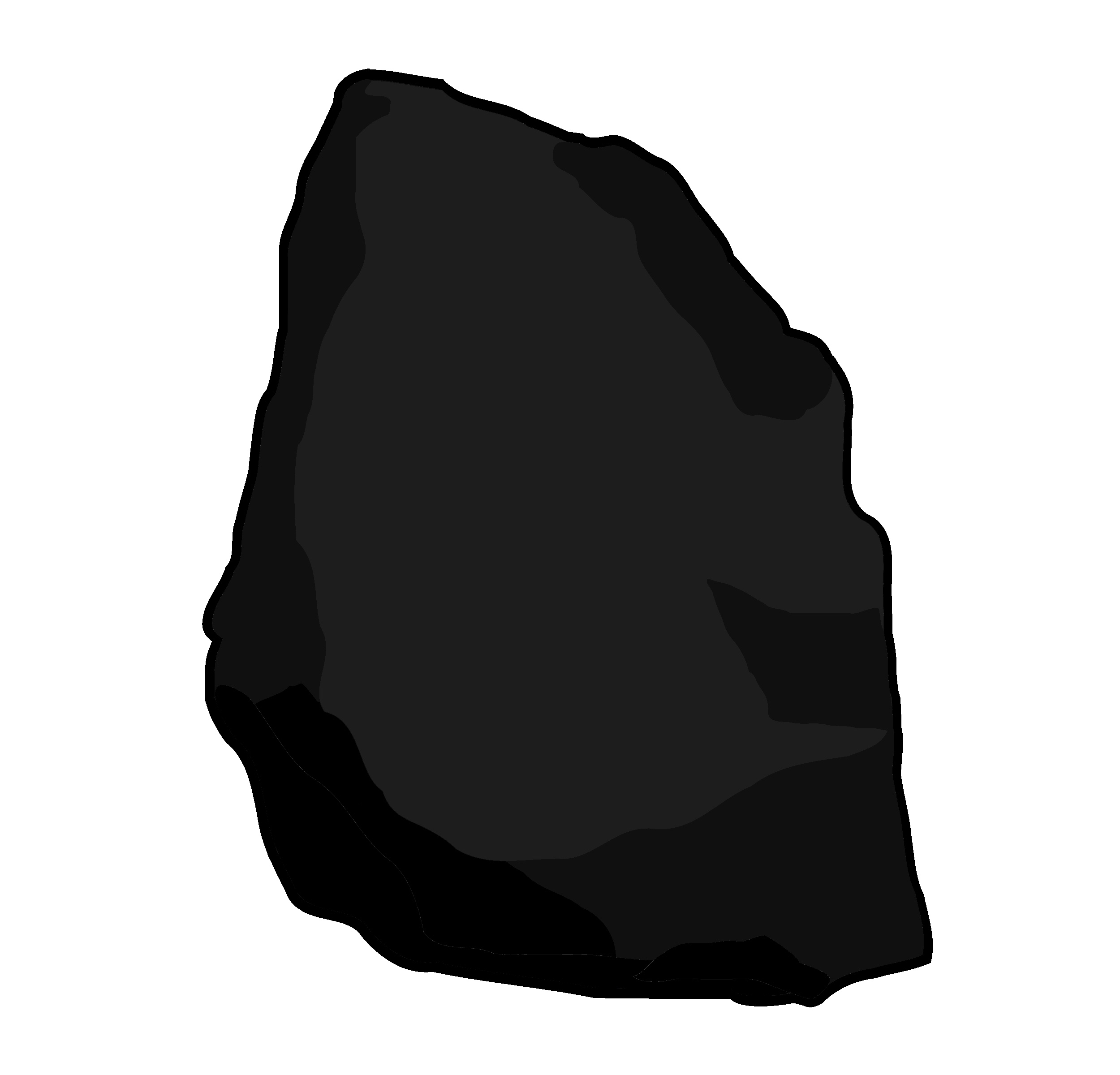 Black #309