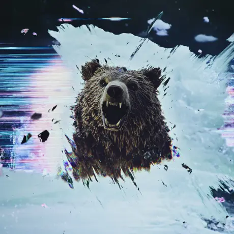 bear #3012