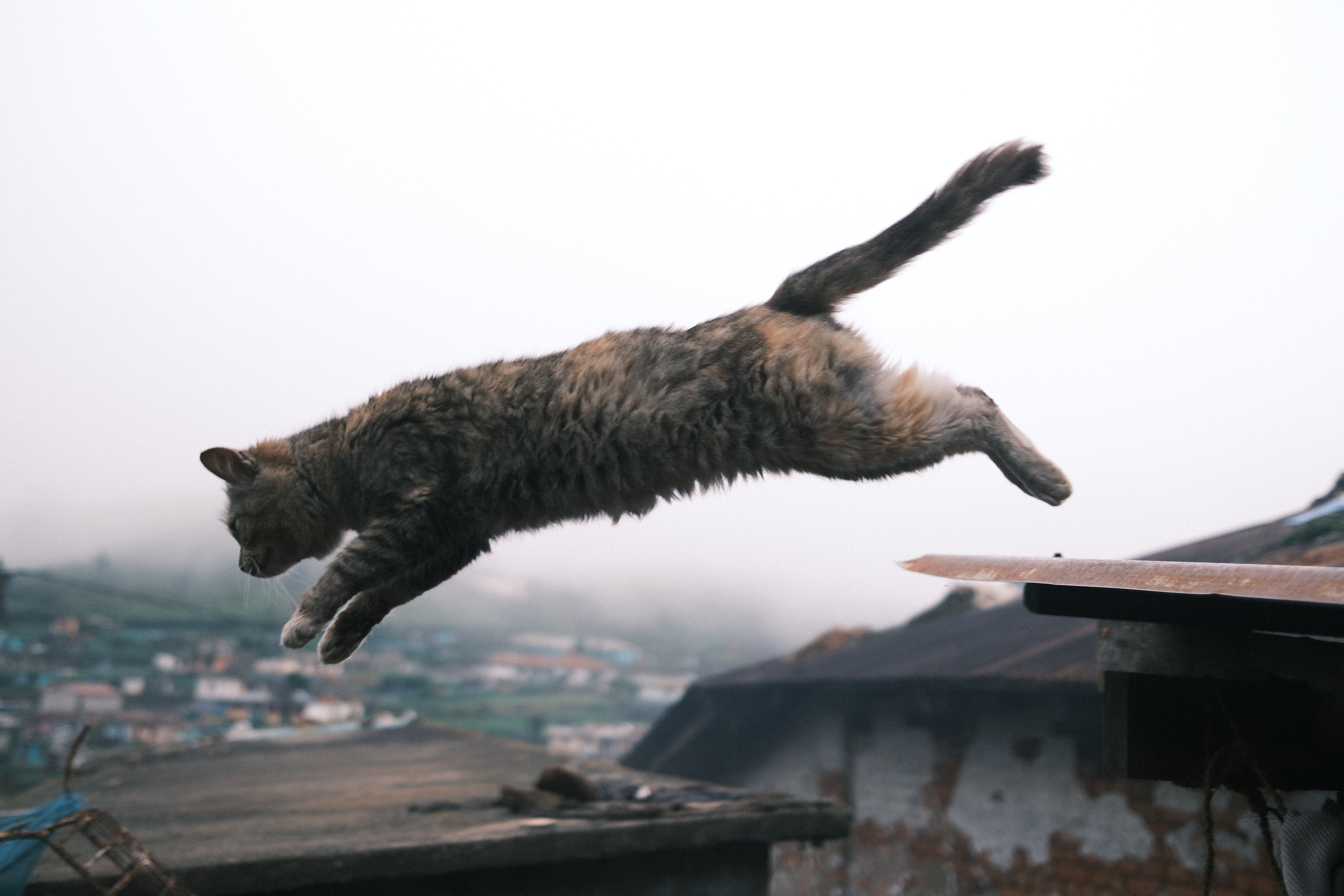 Jump