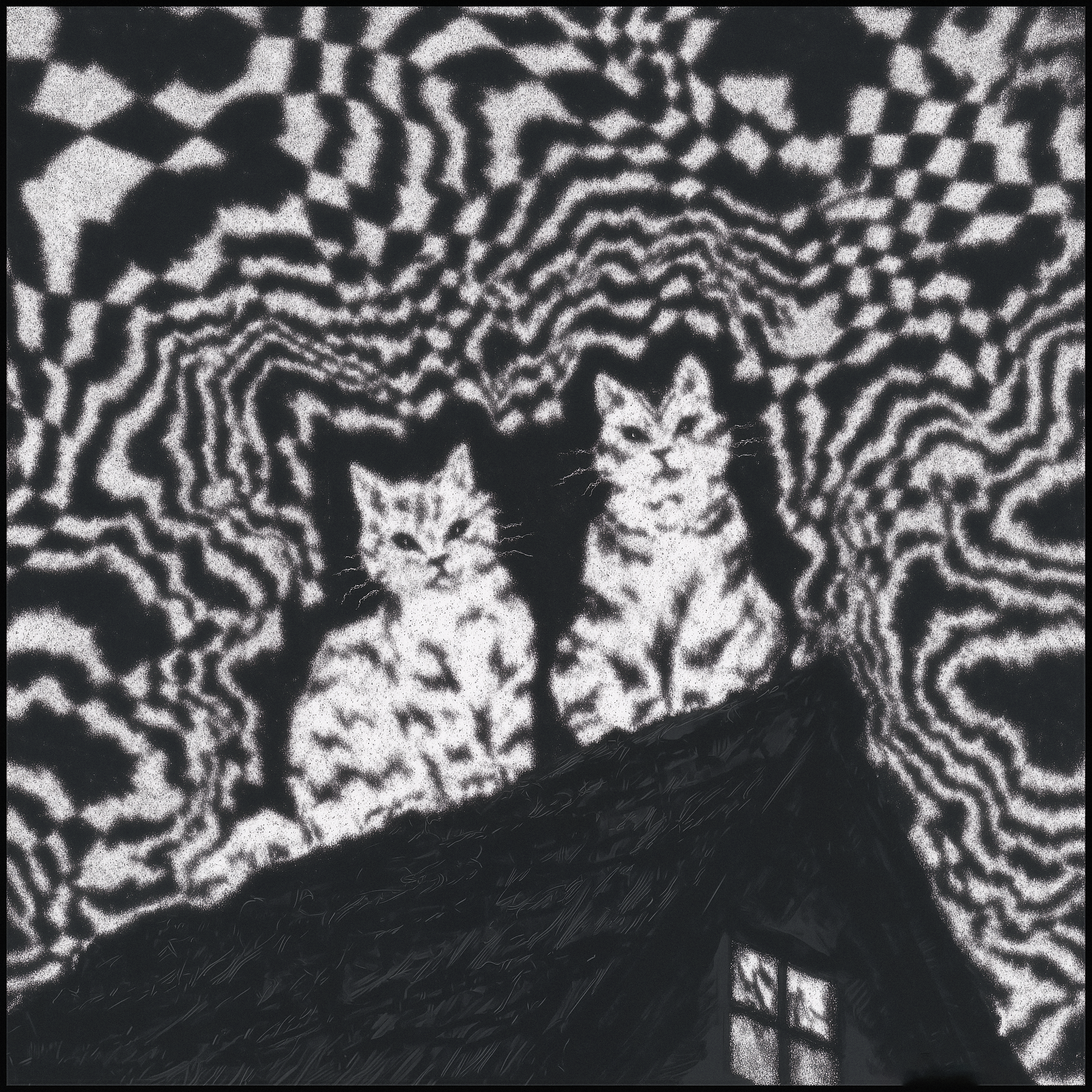 The Cats Who Dreamed The Light