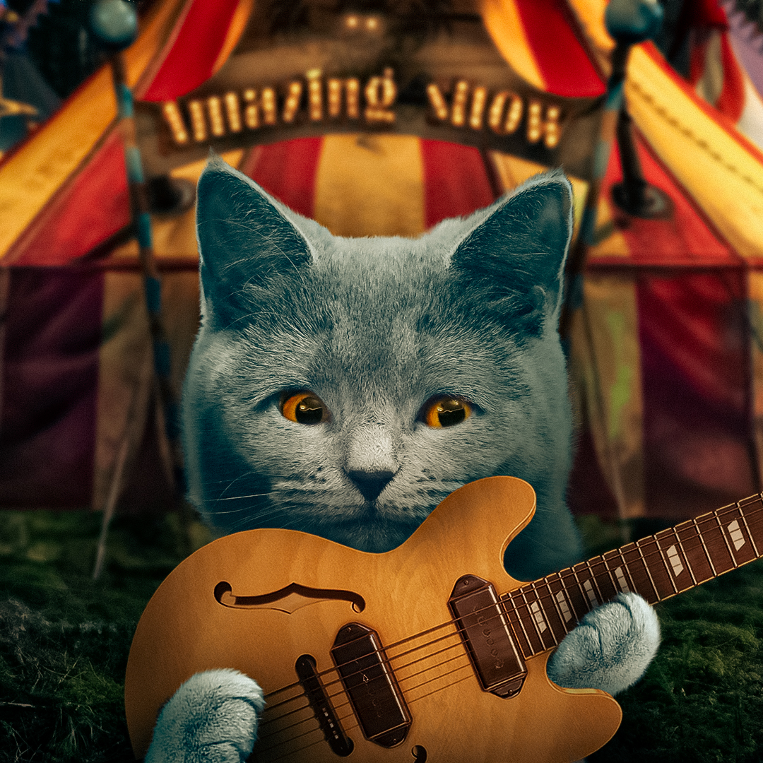 Guitarist #009