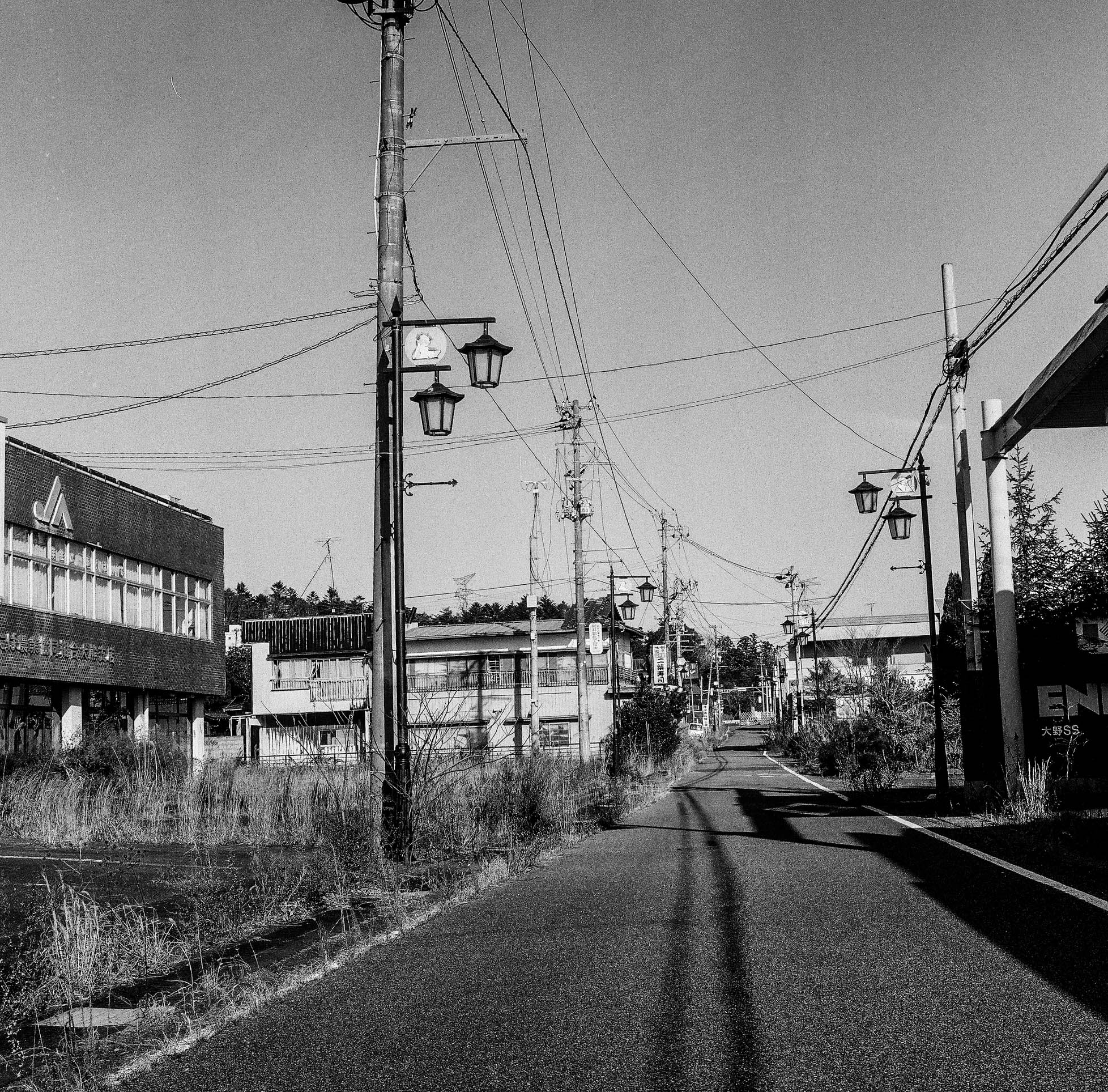Overgrown, Okuma, 2017