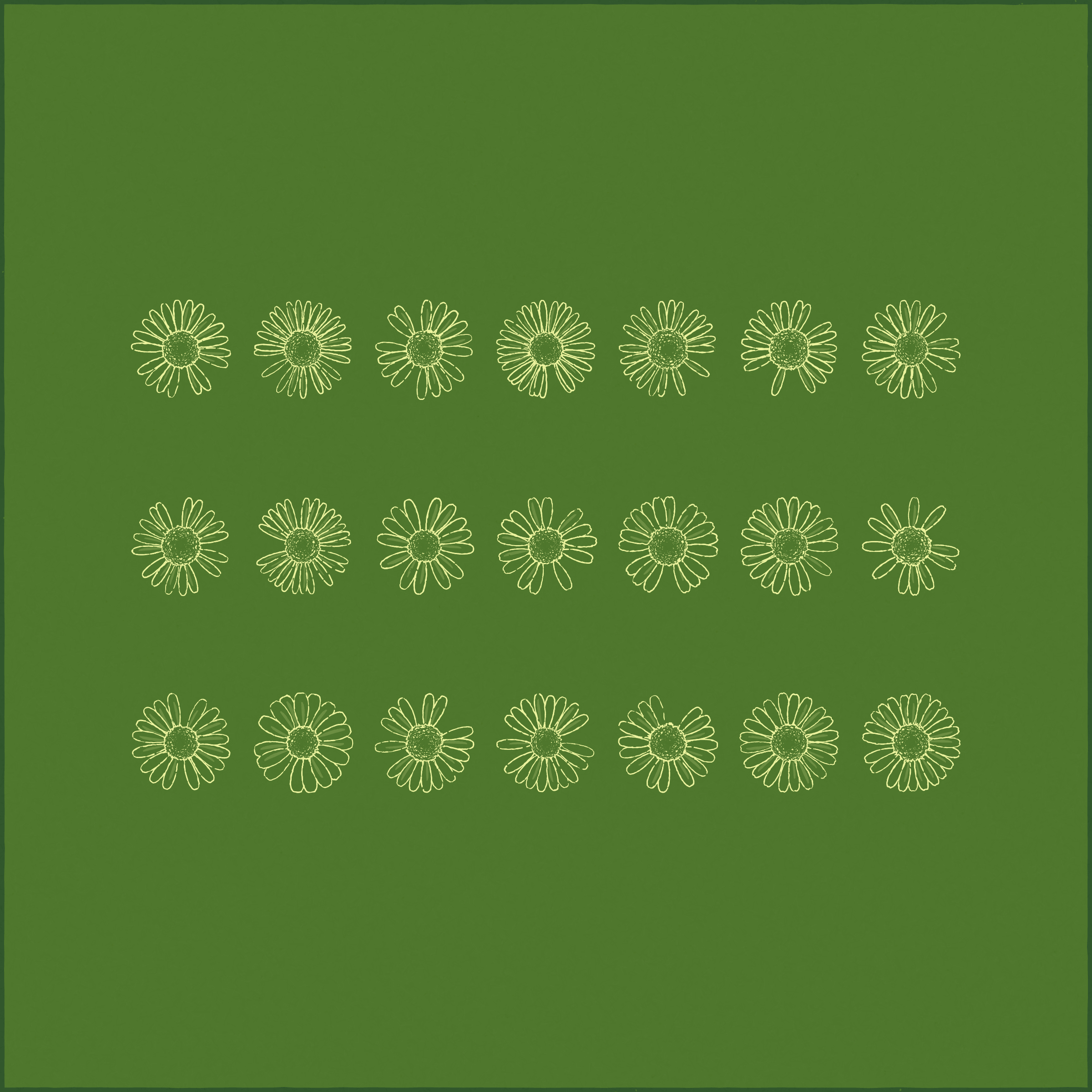 Daisies #5