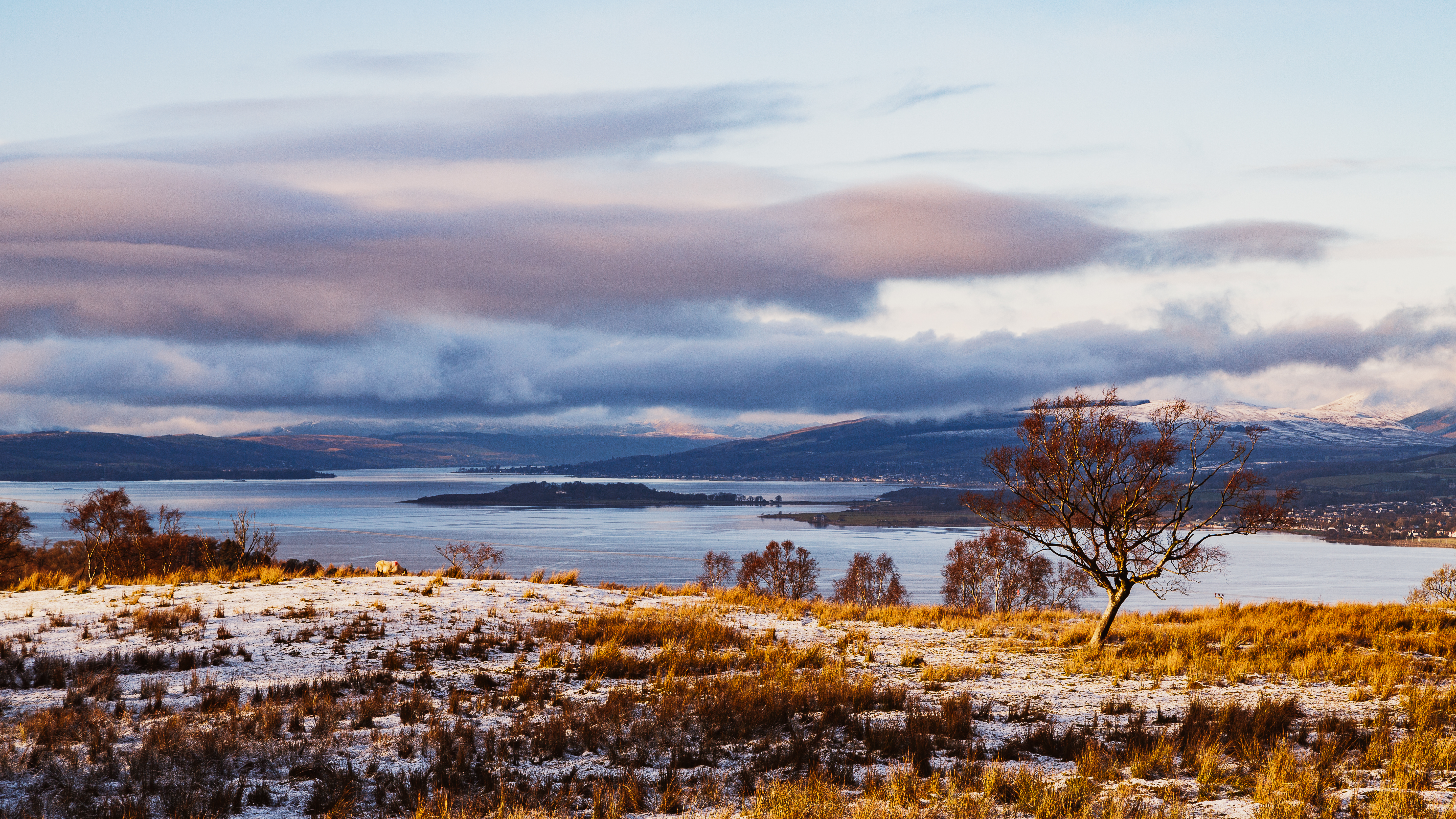 #11 A Touch of Winter