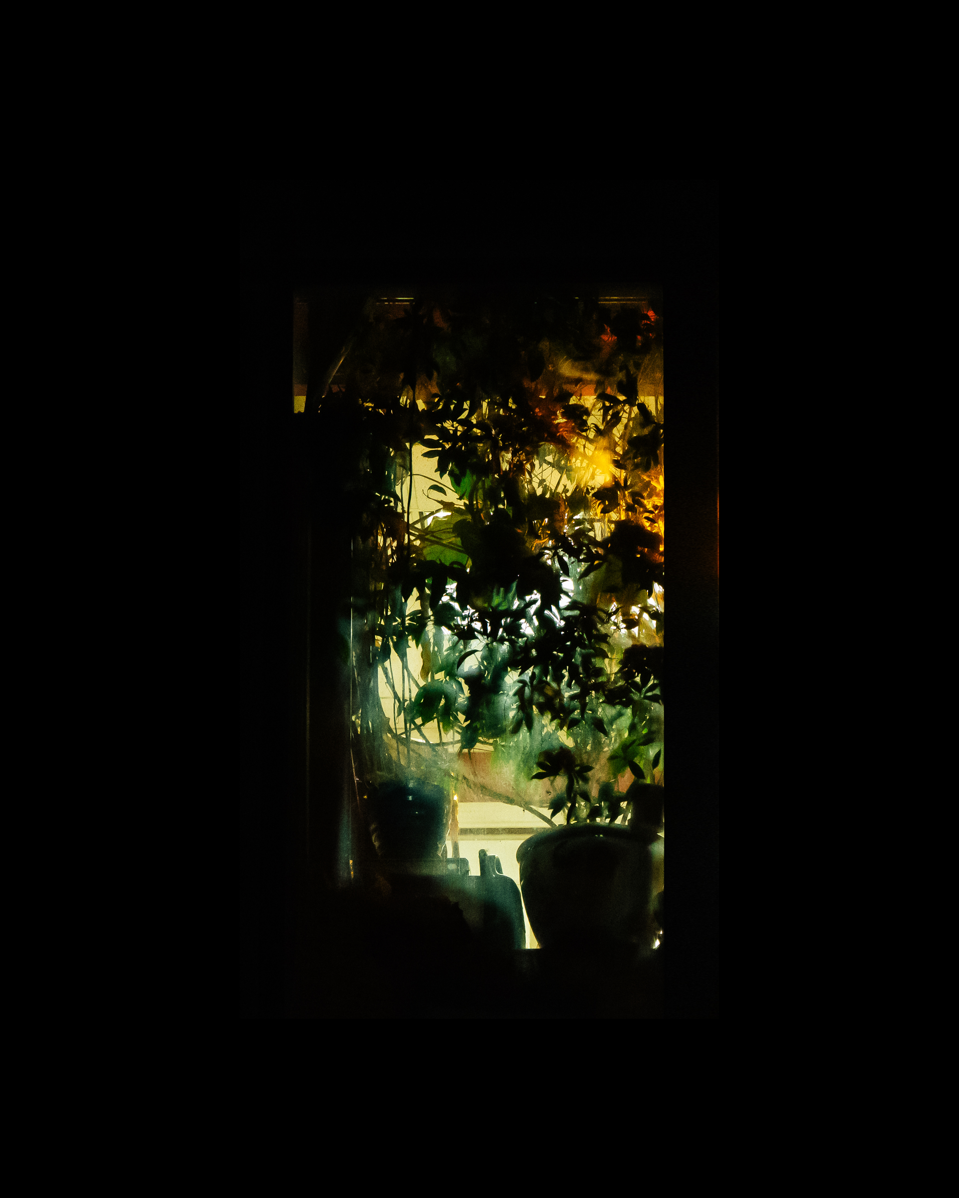 WINDOW 703