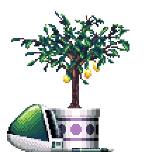 Lemon Tree in Large Pattern pot with iMac