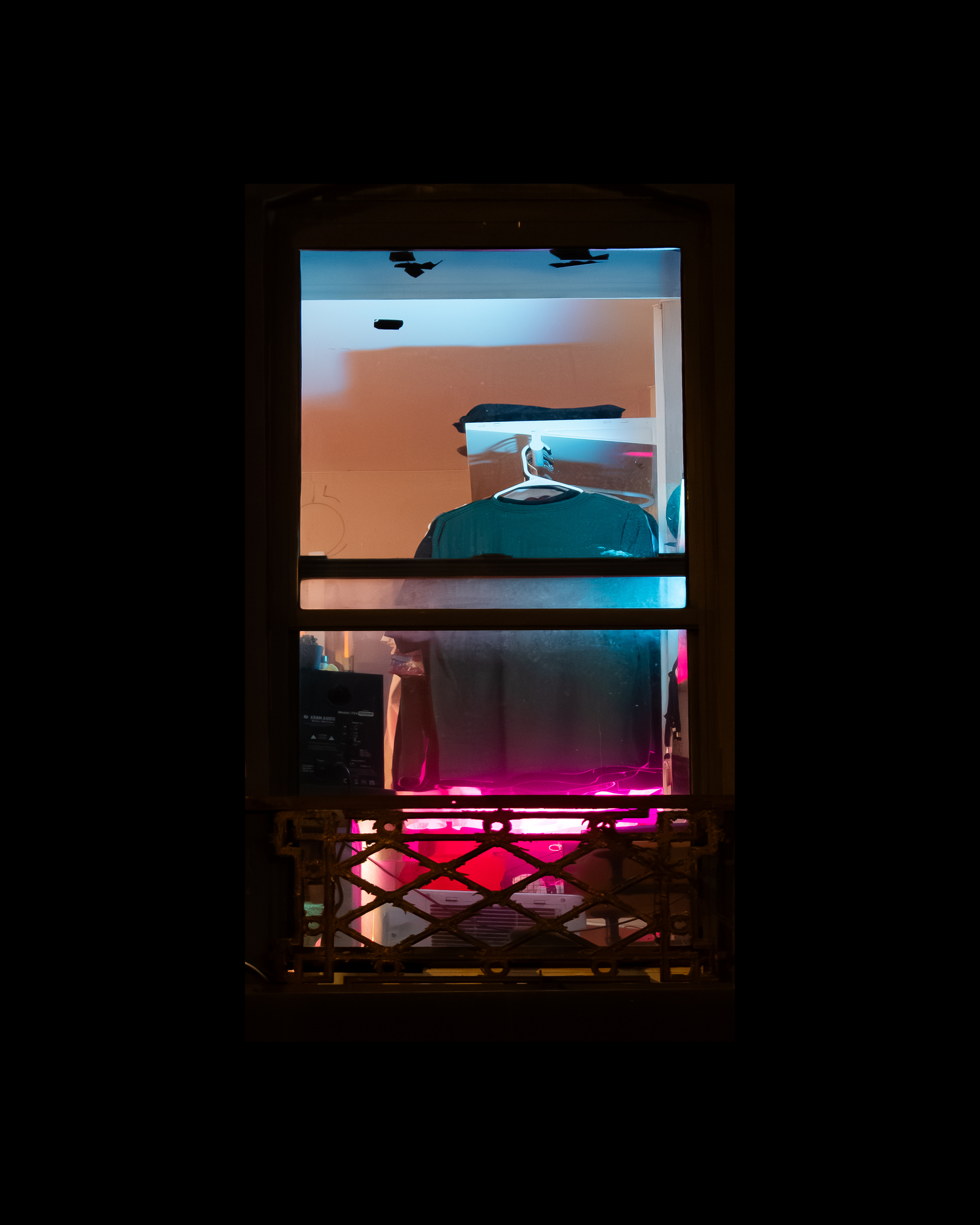 WINDOW 206