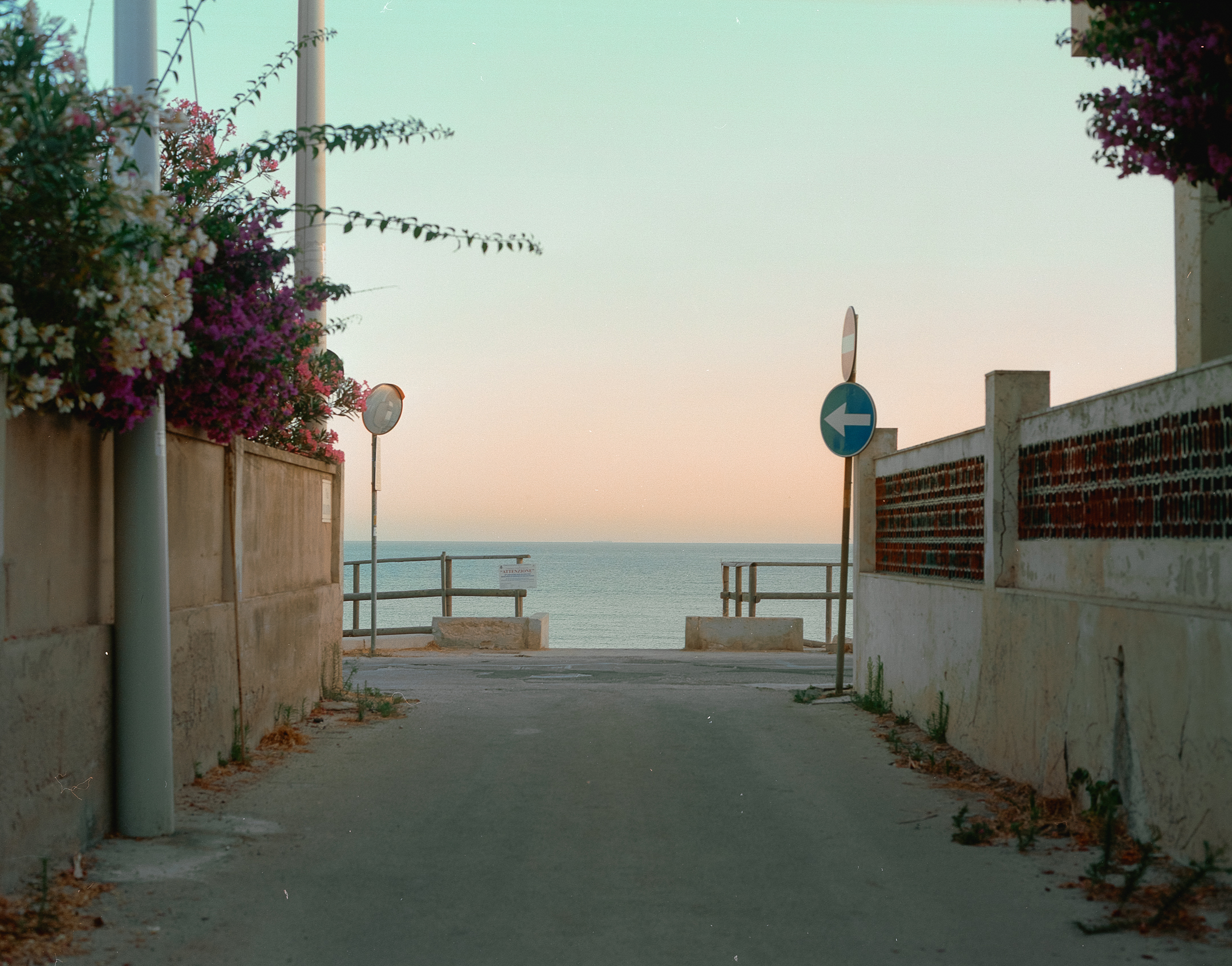 Seashore Path