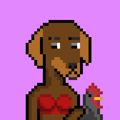 ViralataFunk #2169