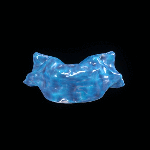 Party Bone #4744