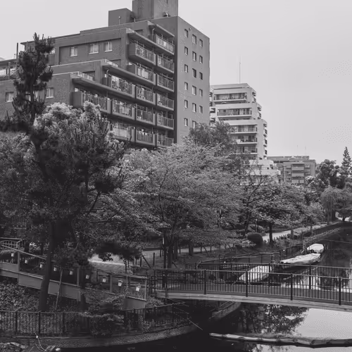 Tokyo: A Love Story #23