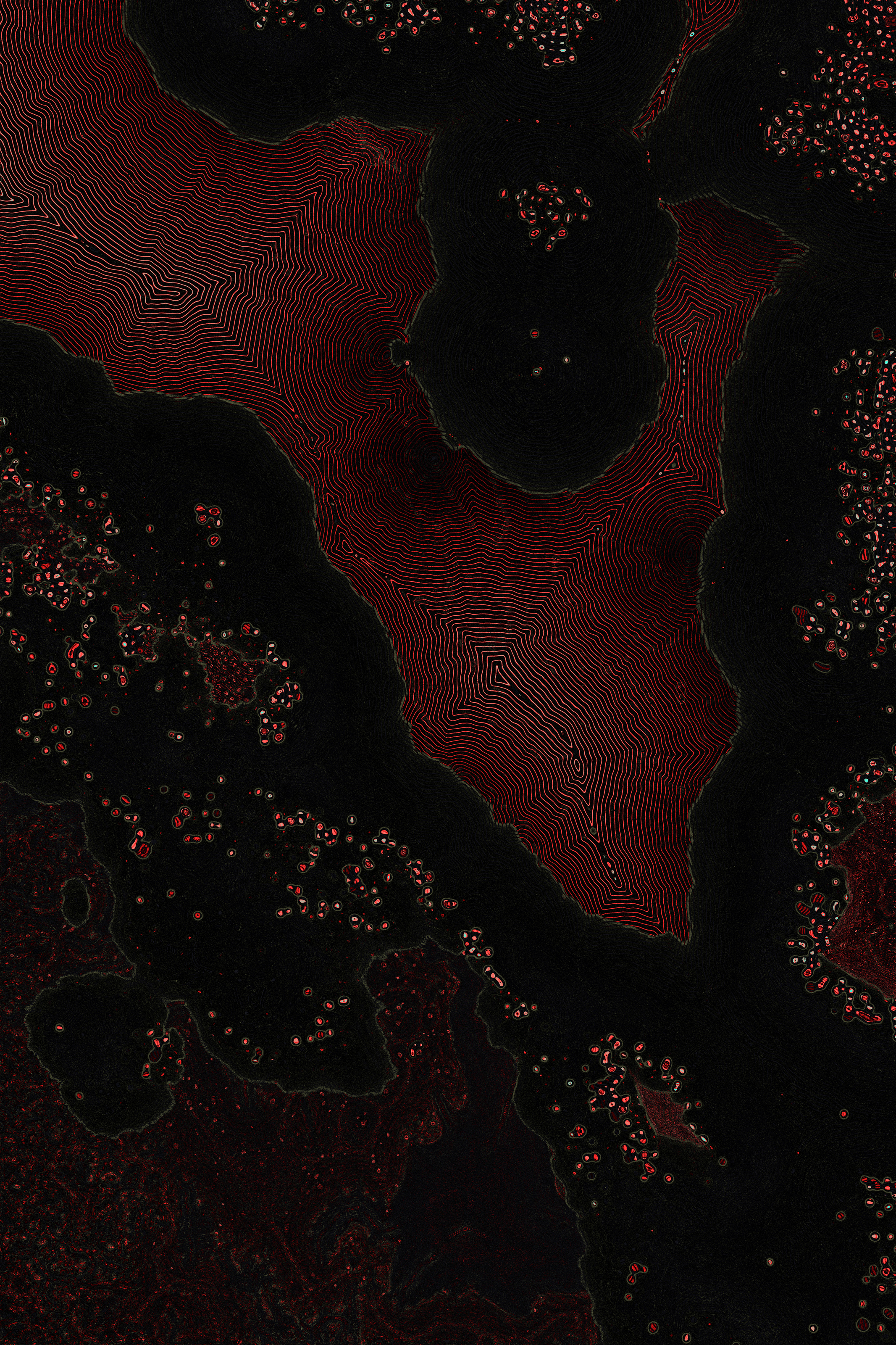 Dactylogram #125