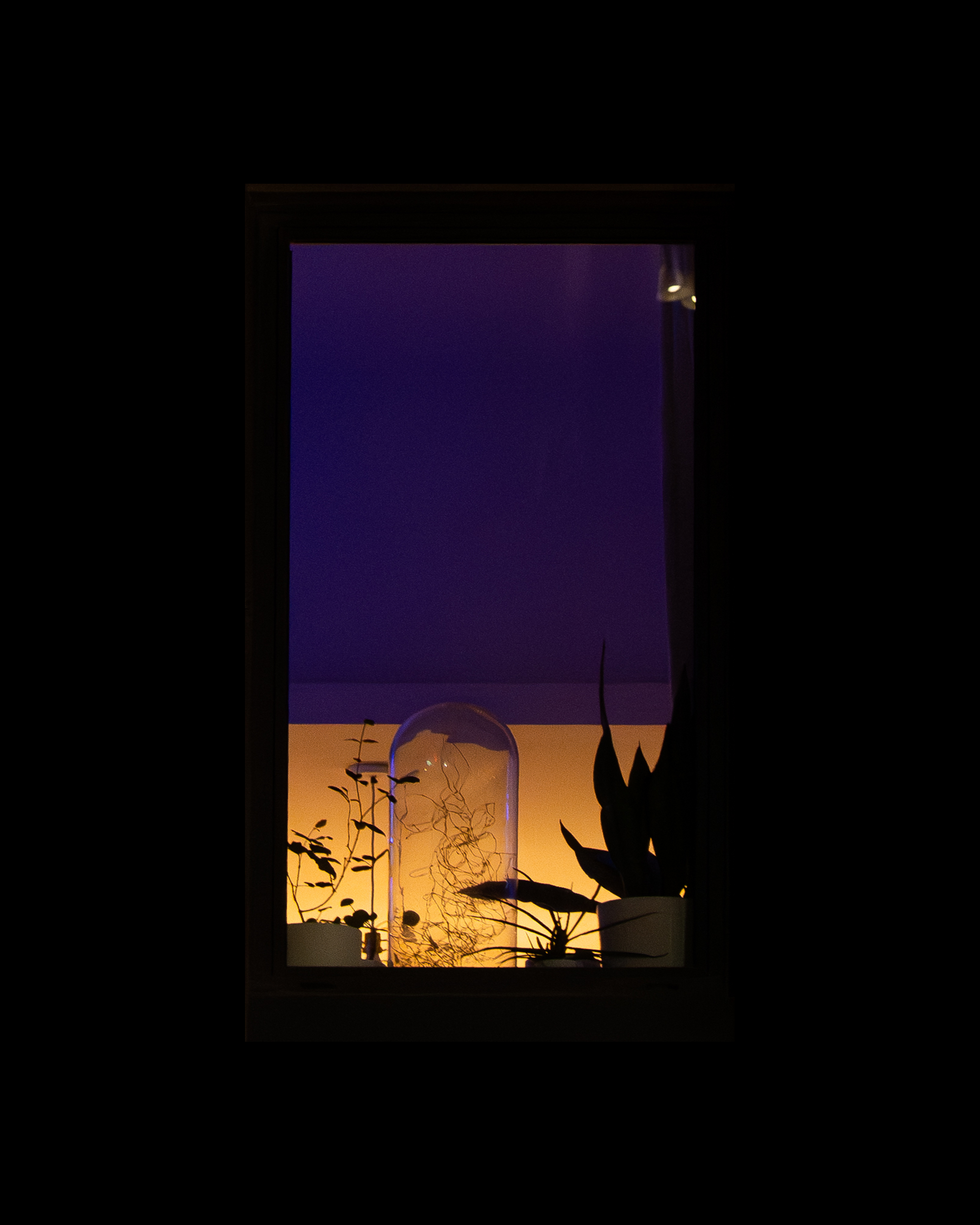 WINDOW 356