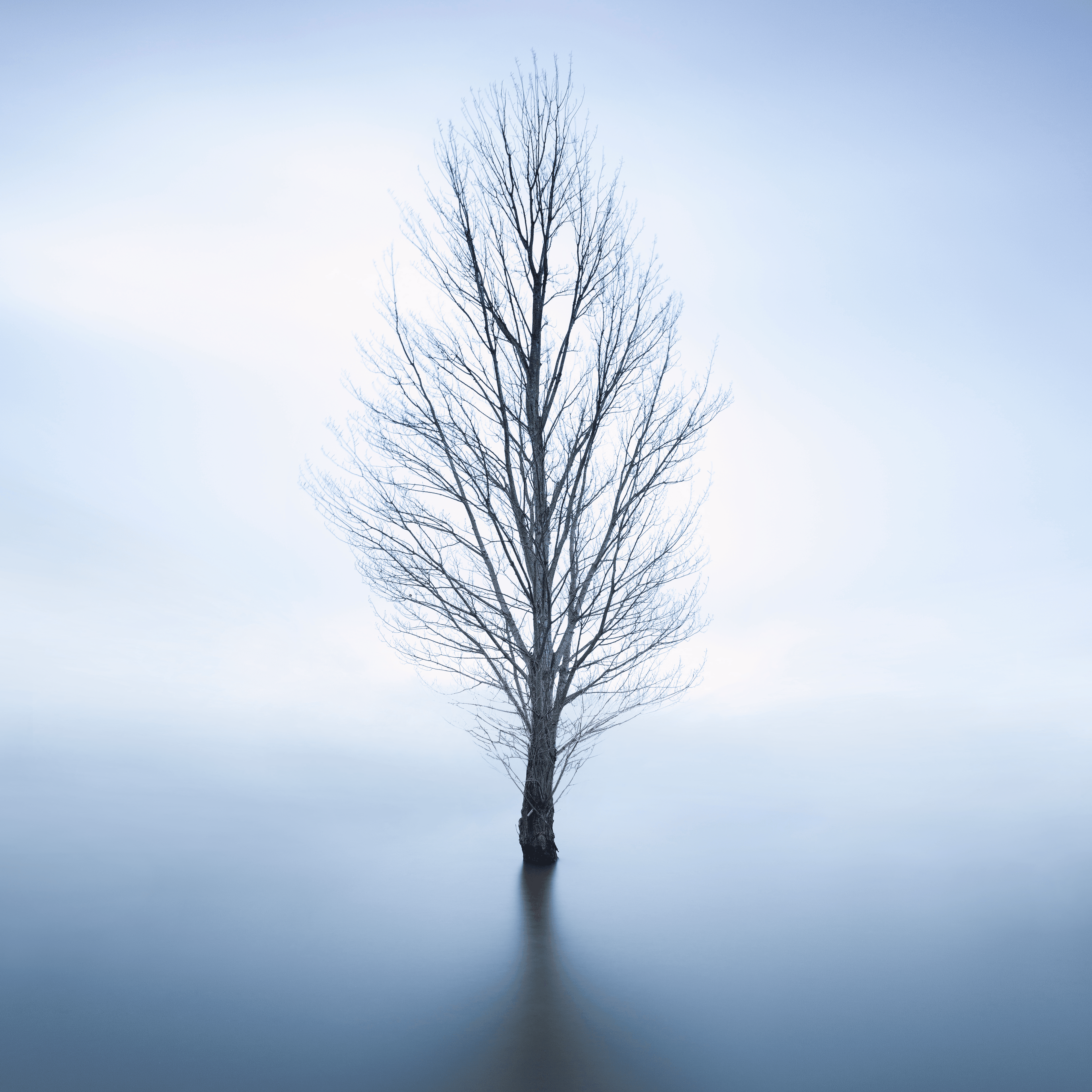 Alone