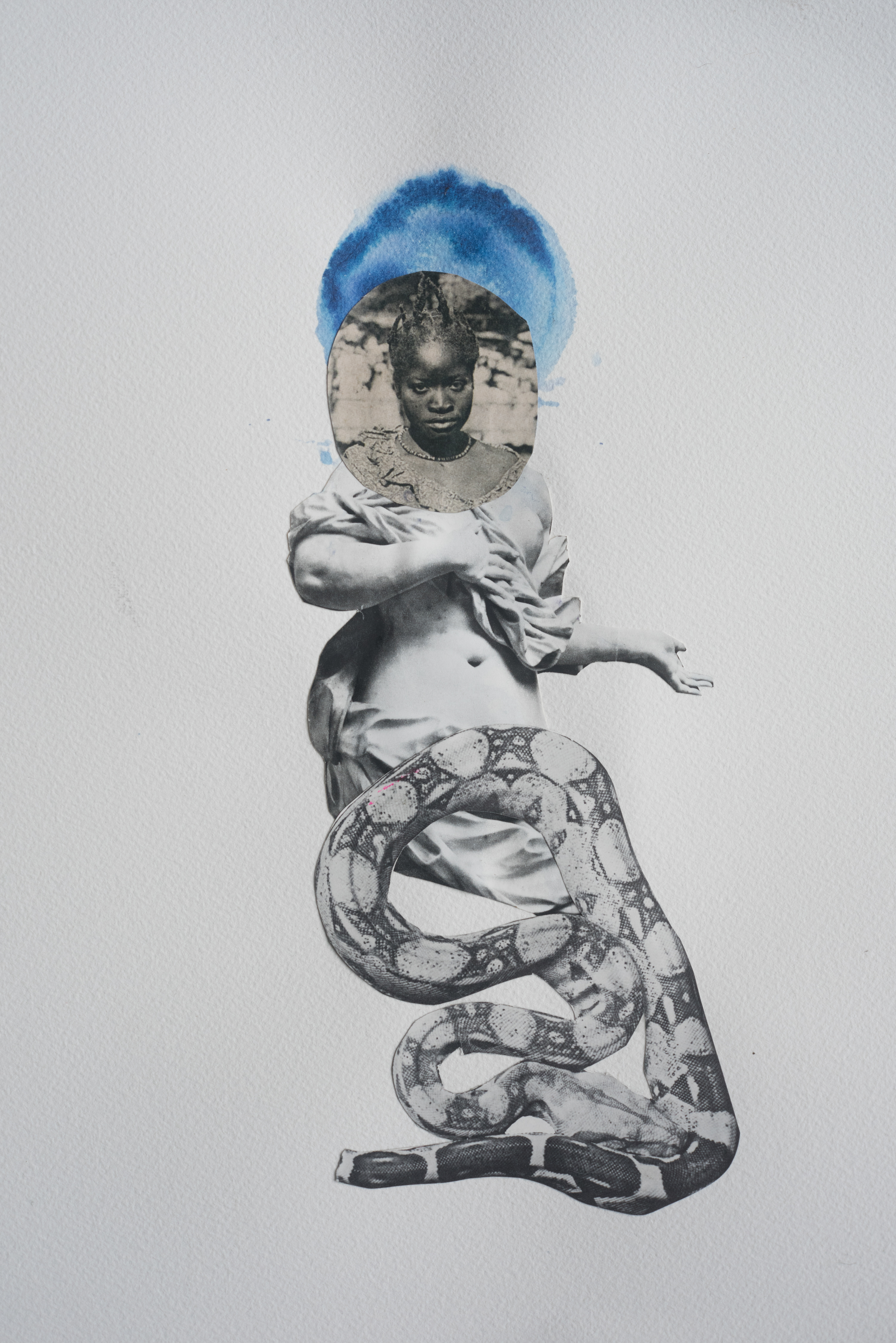 Divine - The Oracle and the Snake
