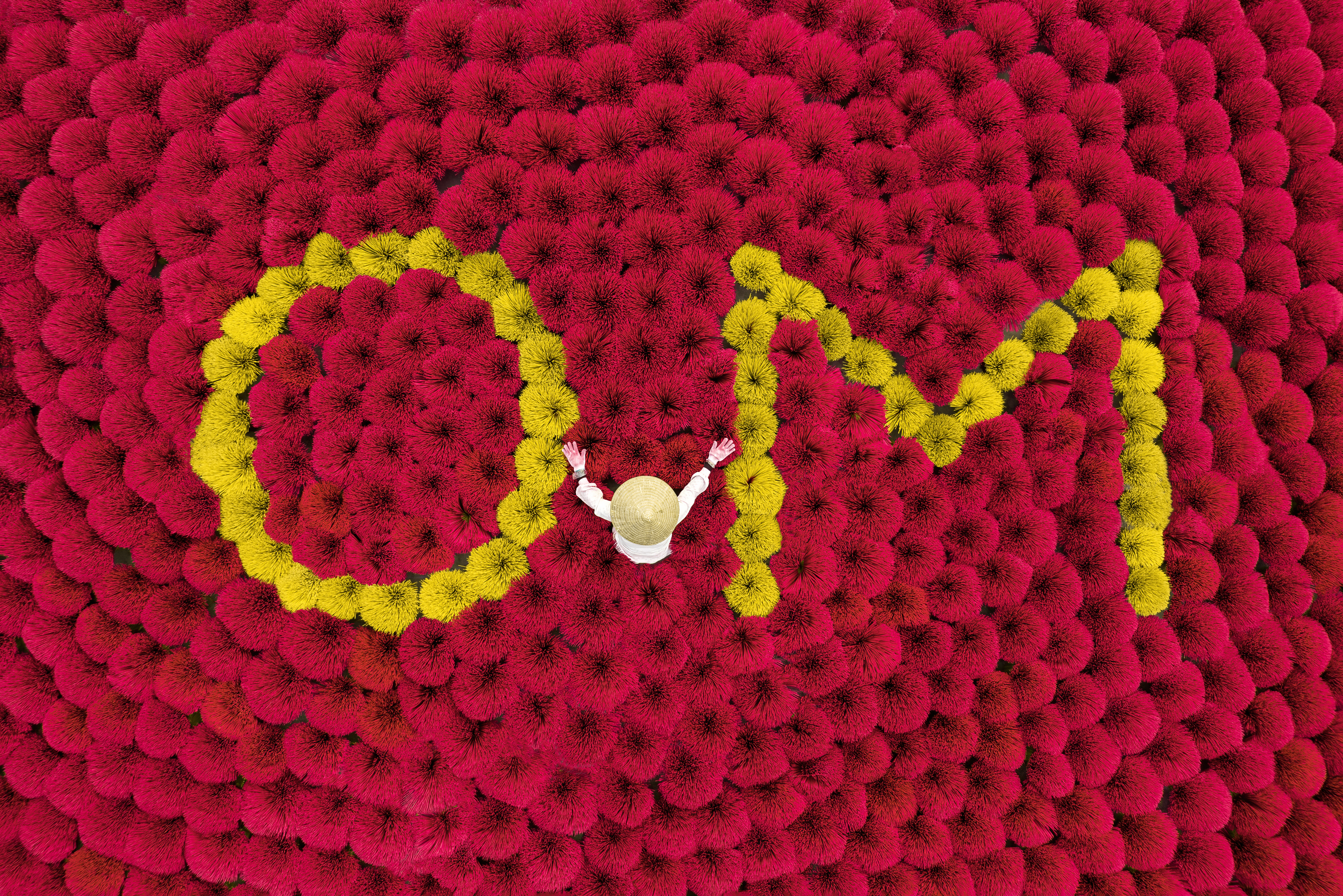 Scent of OM