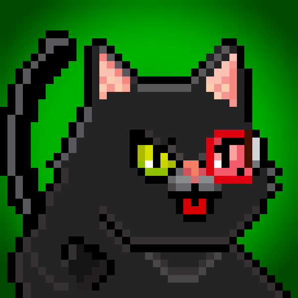 YOLO Cat #254