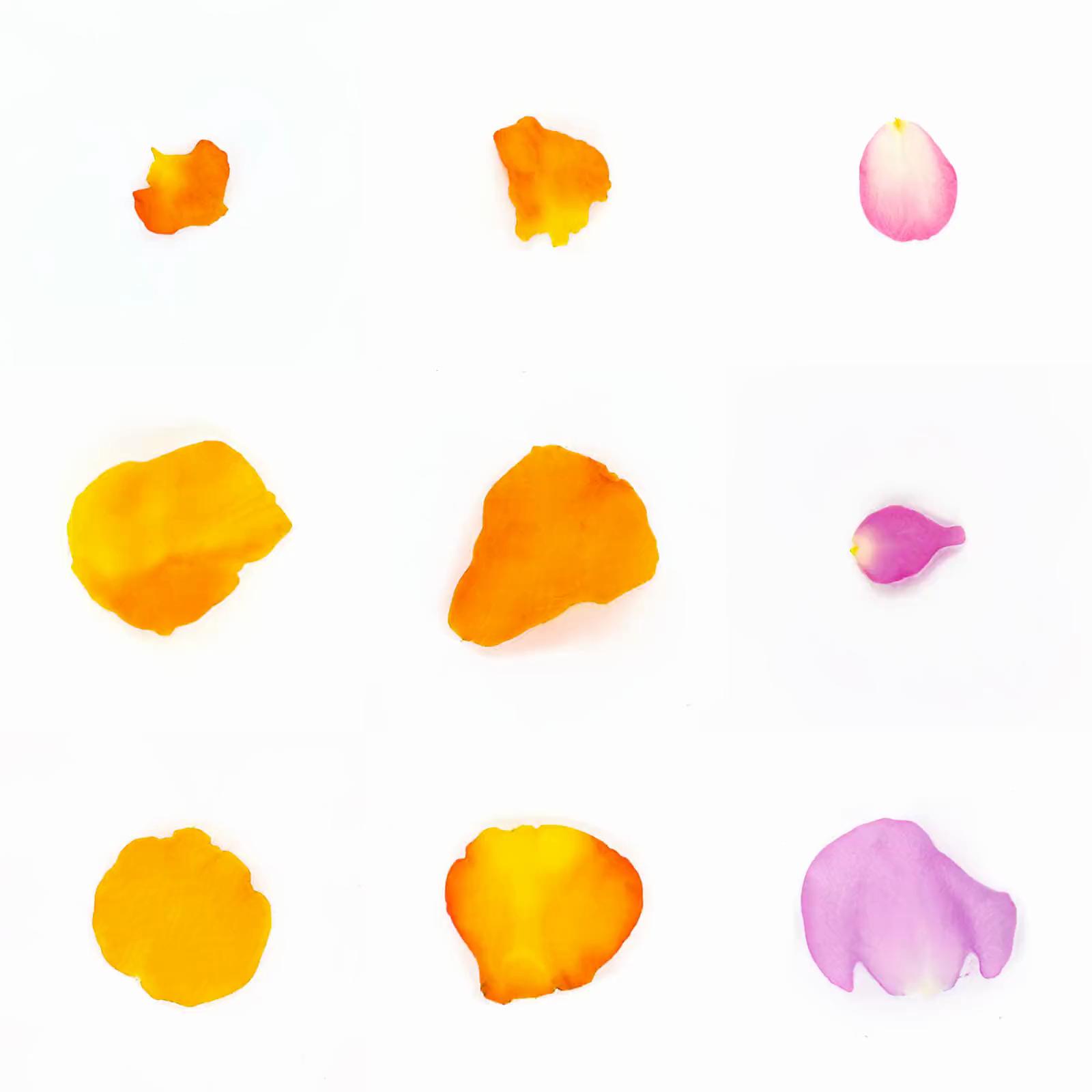 Infinite Petals 3x3#2671