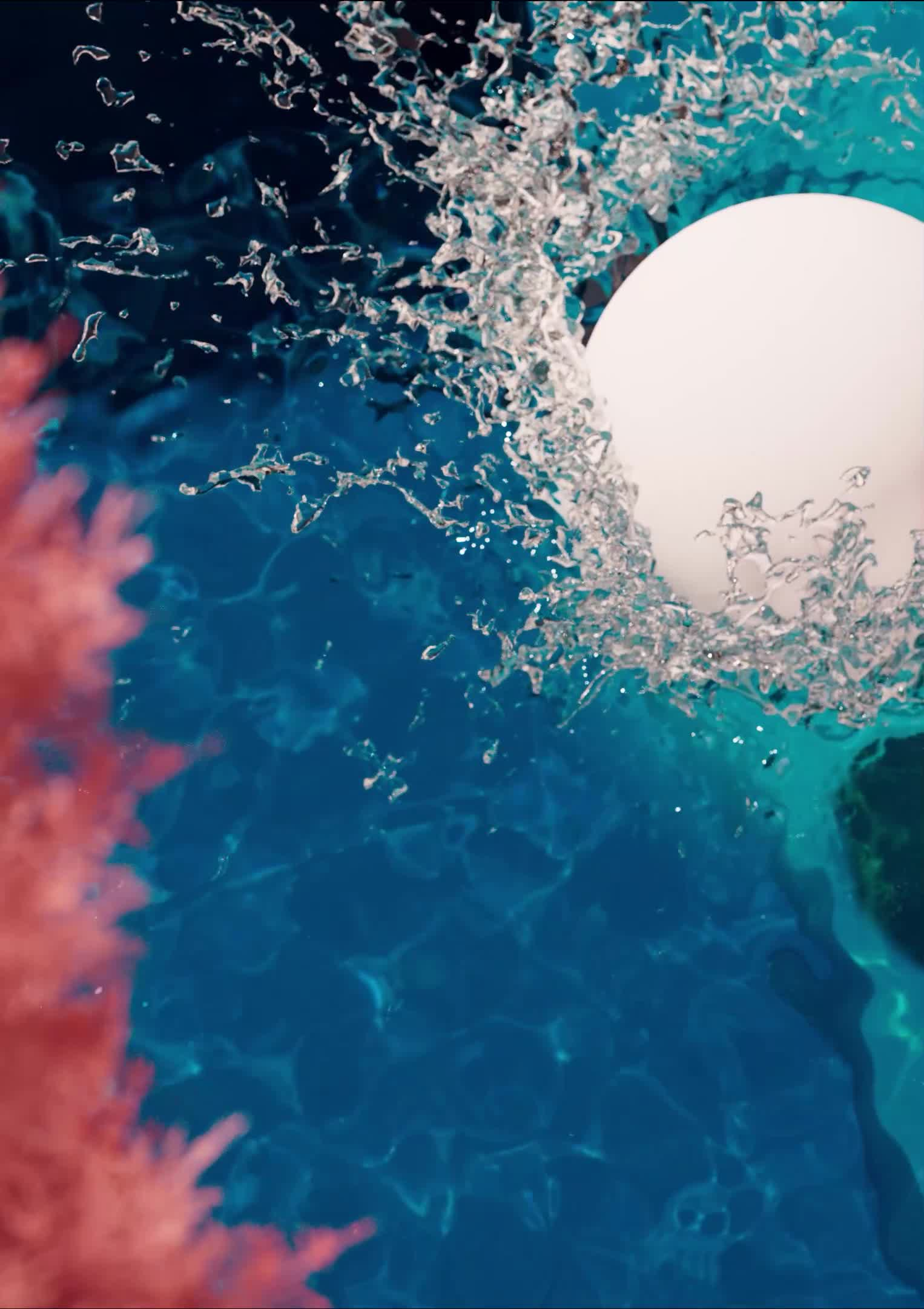 The Splash #6/20