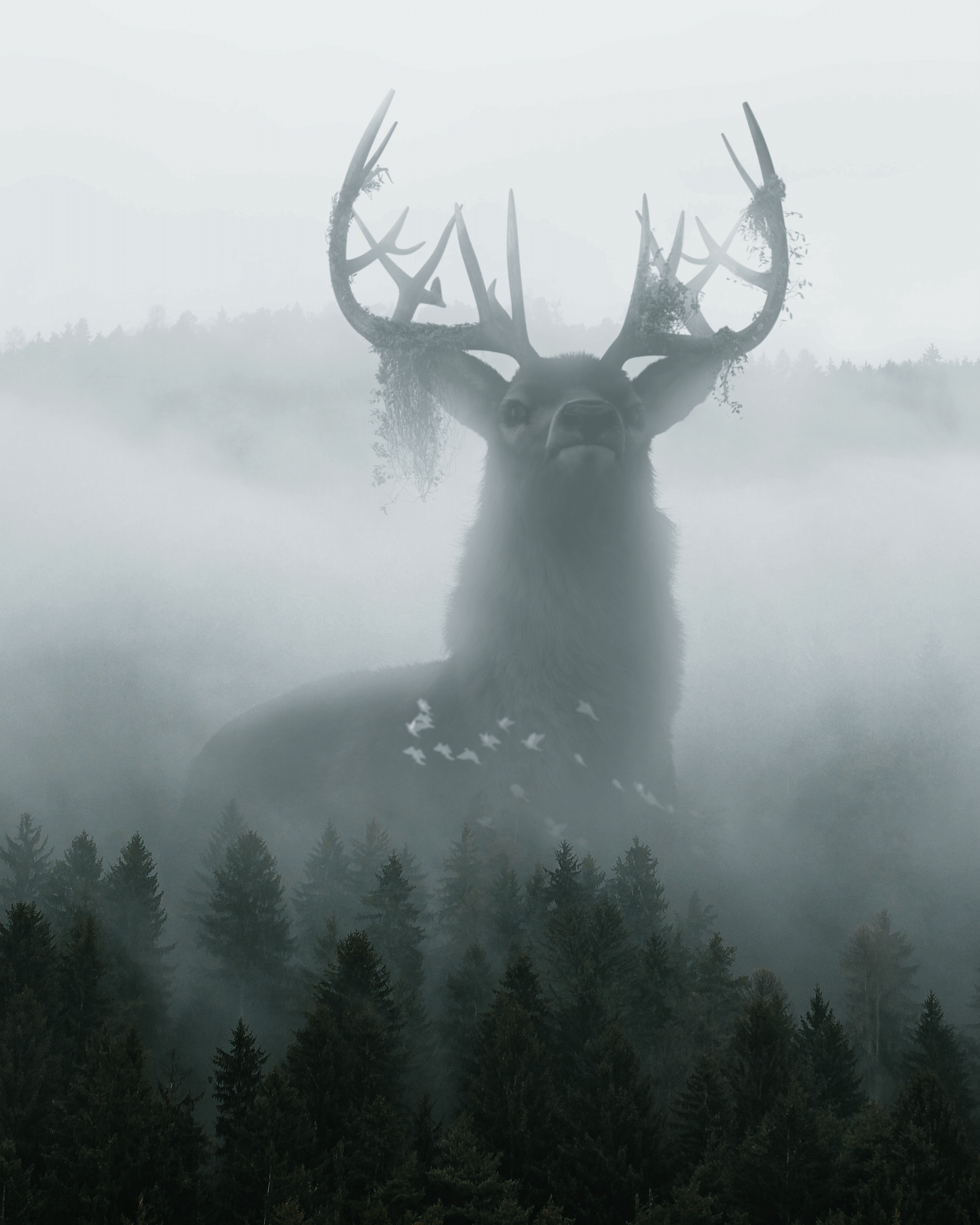 Forest Guardian #10/10